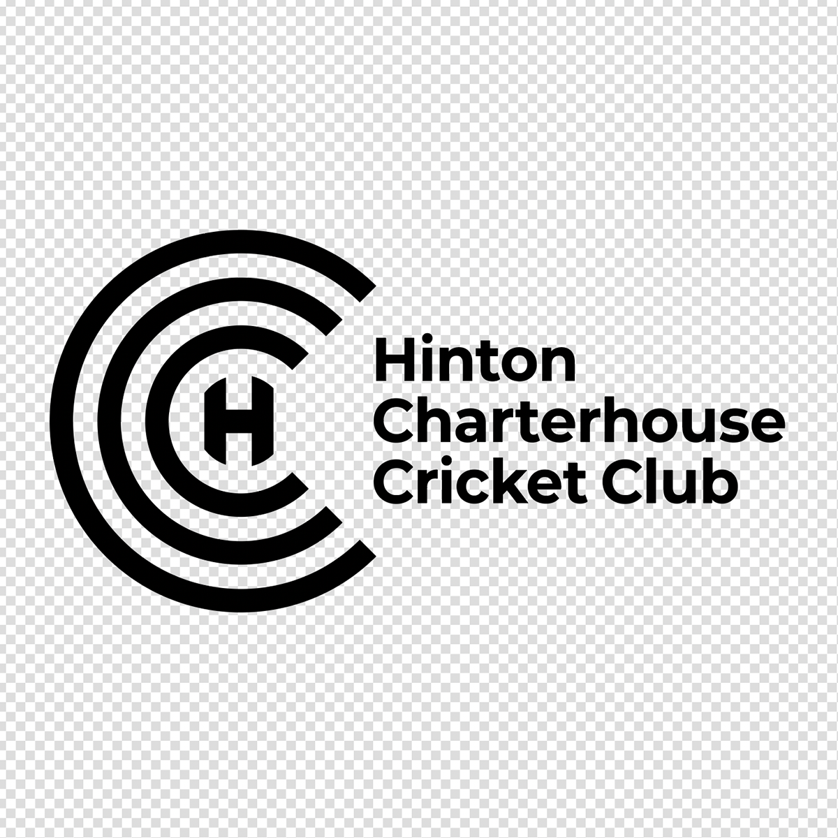 Horizontal logo variant