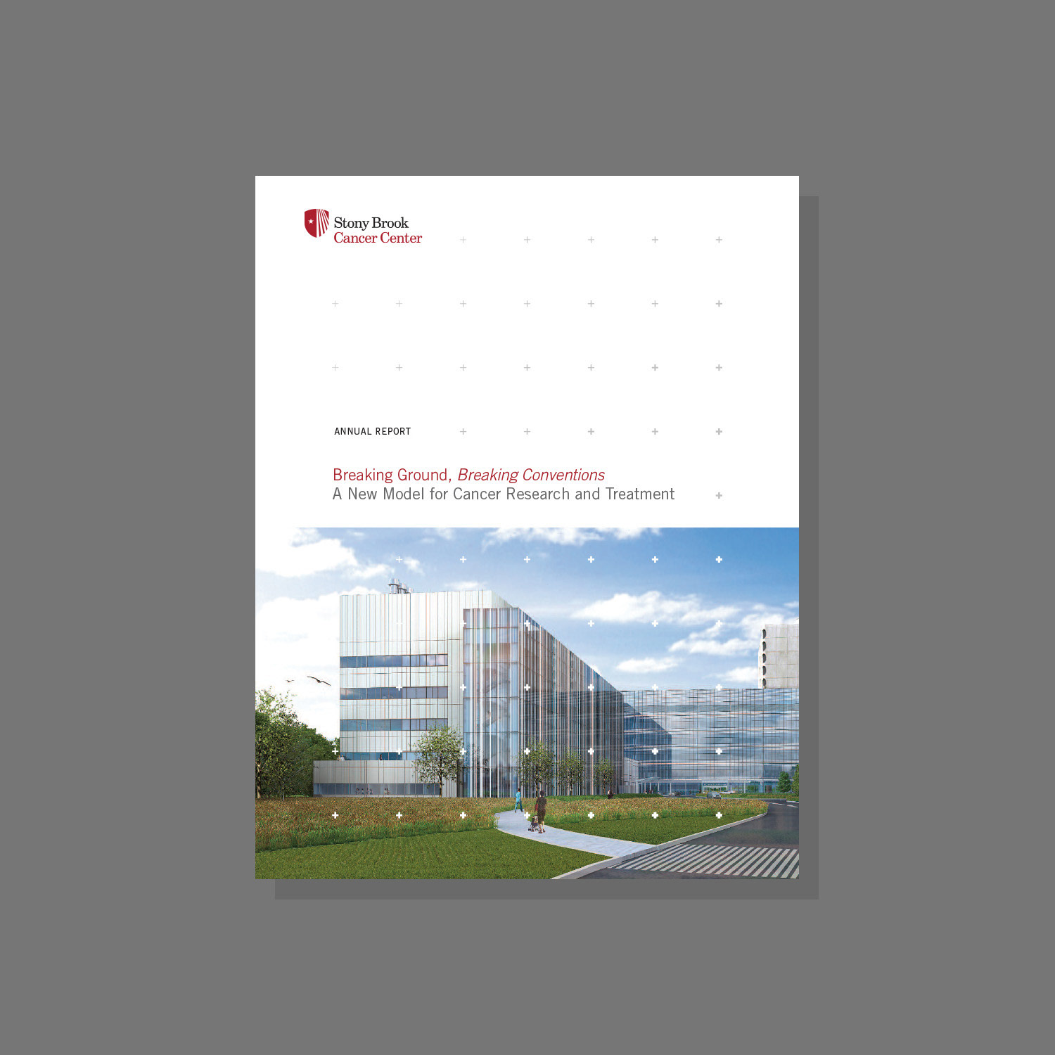 Proposed cover