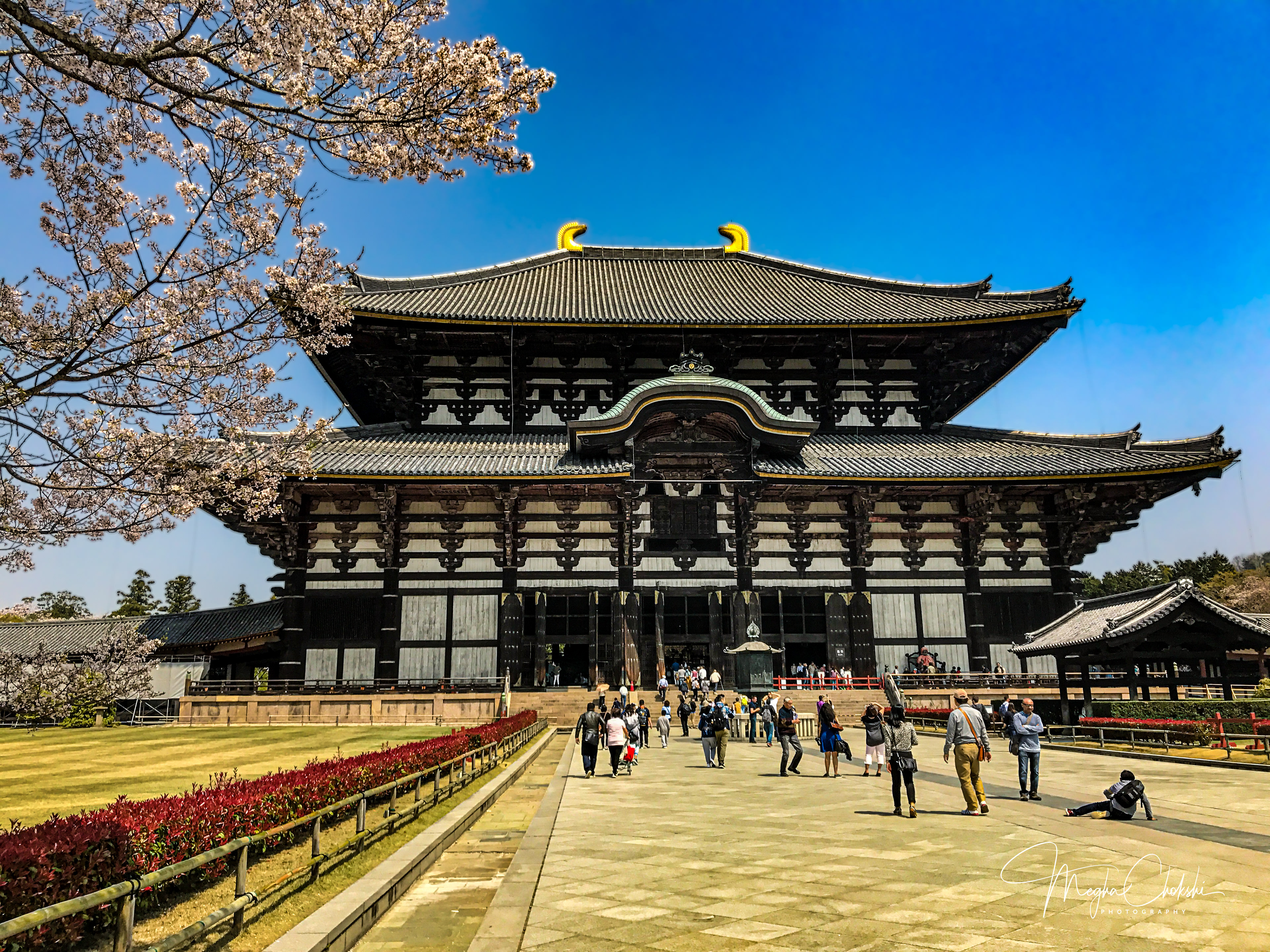 Todaji Temple, Nara, Kyoto, Japan