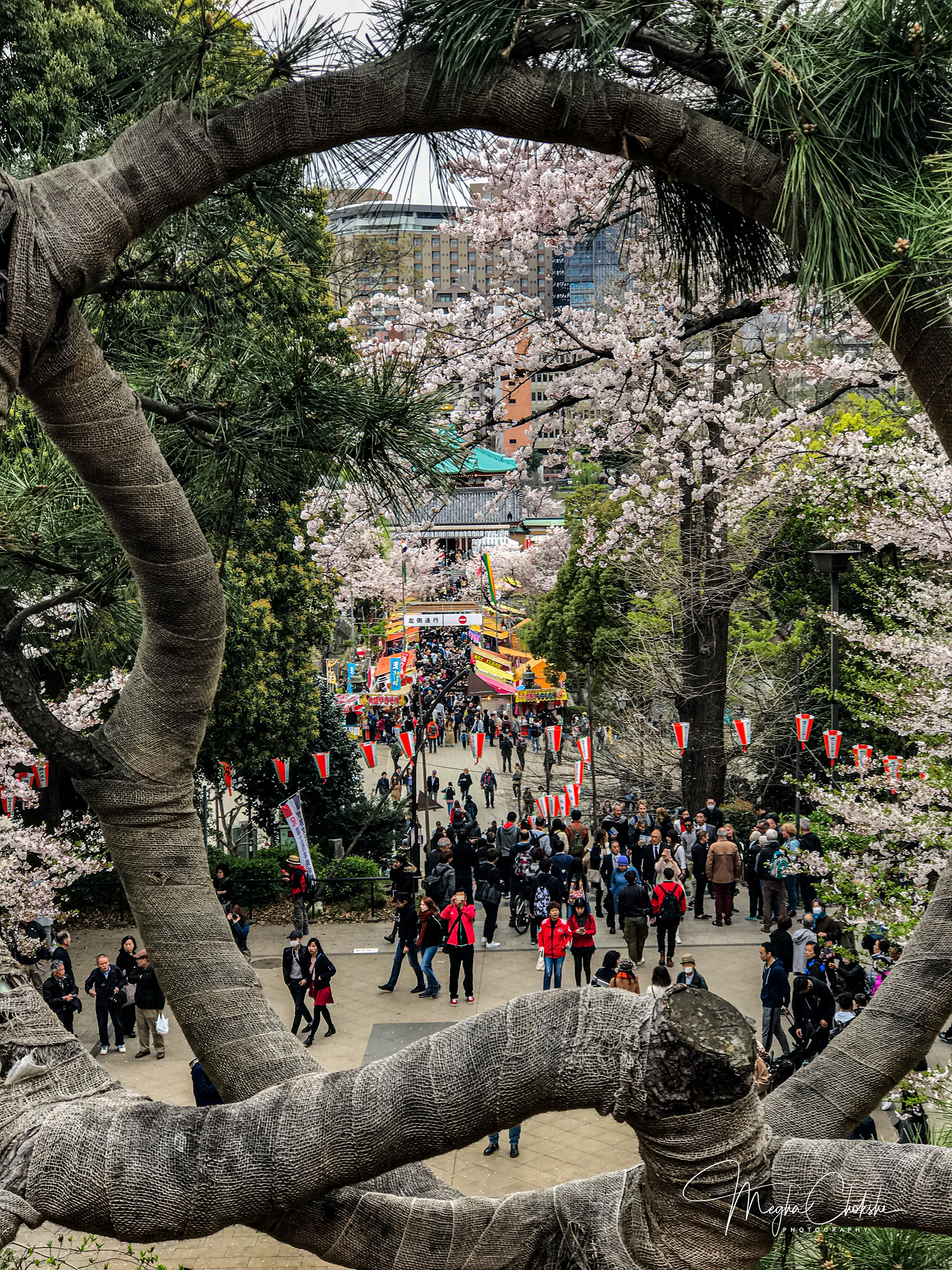 Ueno Onshi Park, Tokyo, Japan 
