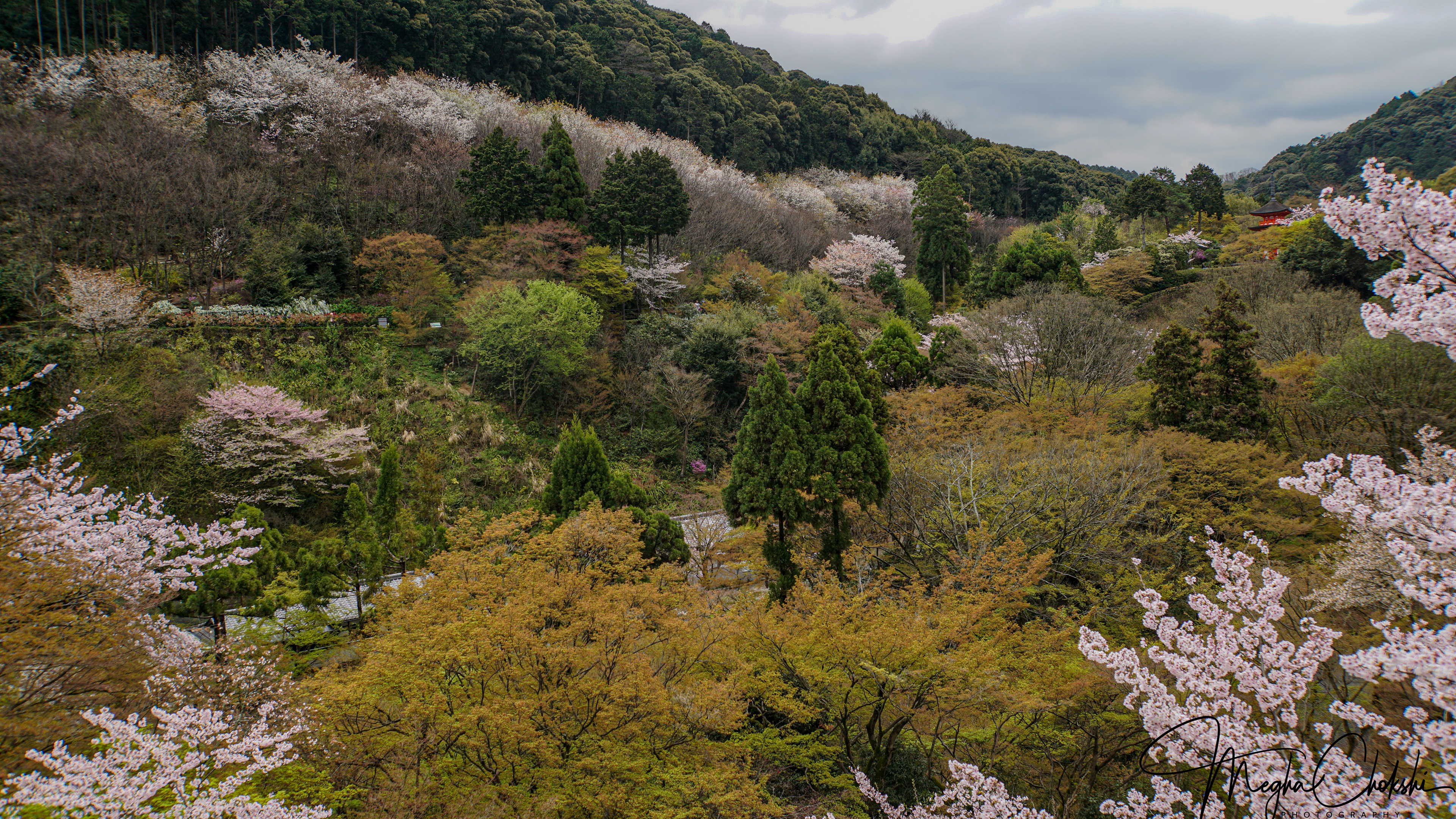 Kiyomizu-dera Temple, Kyoto, Japan