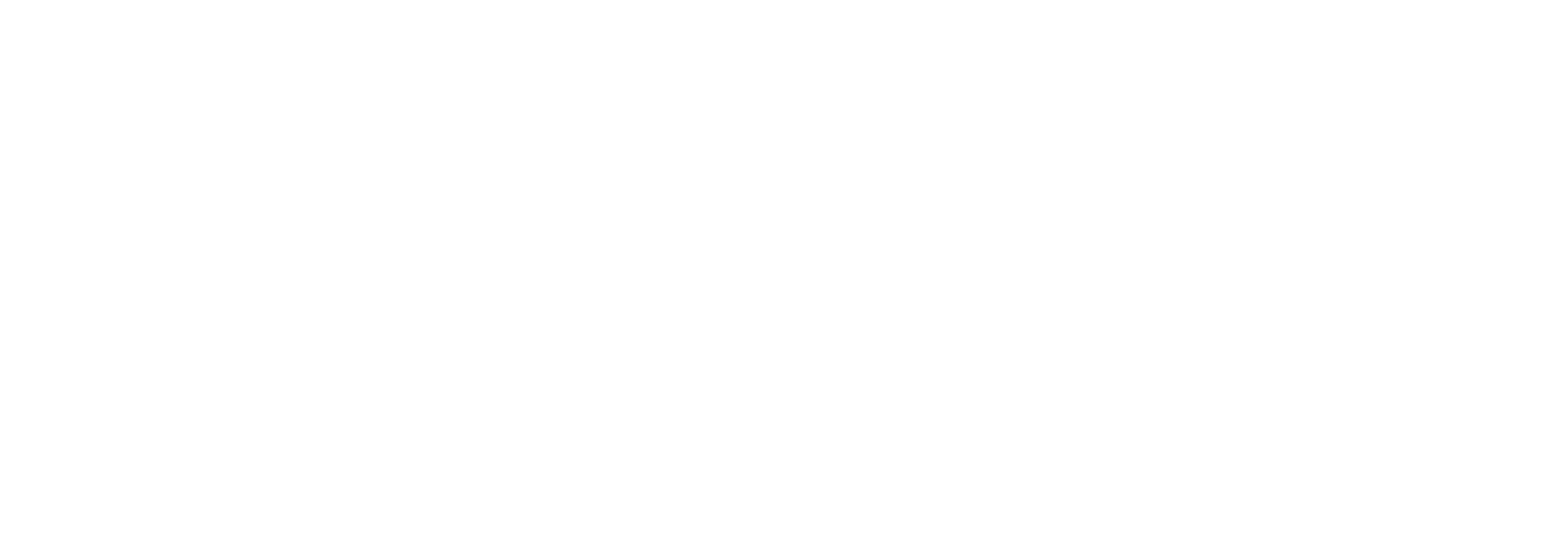 Megha Chokshi
