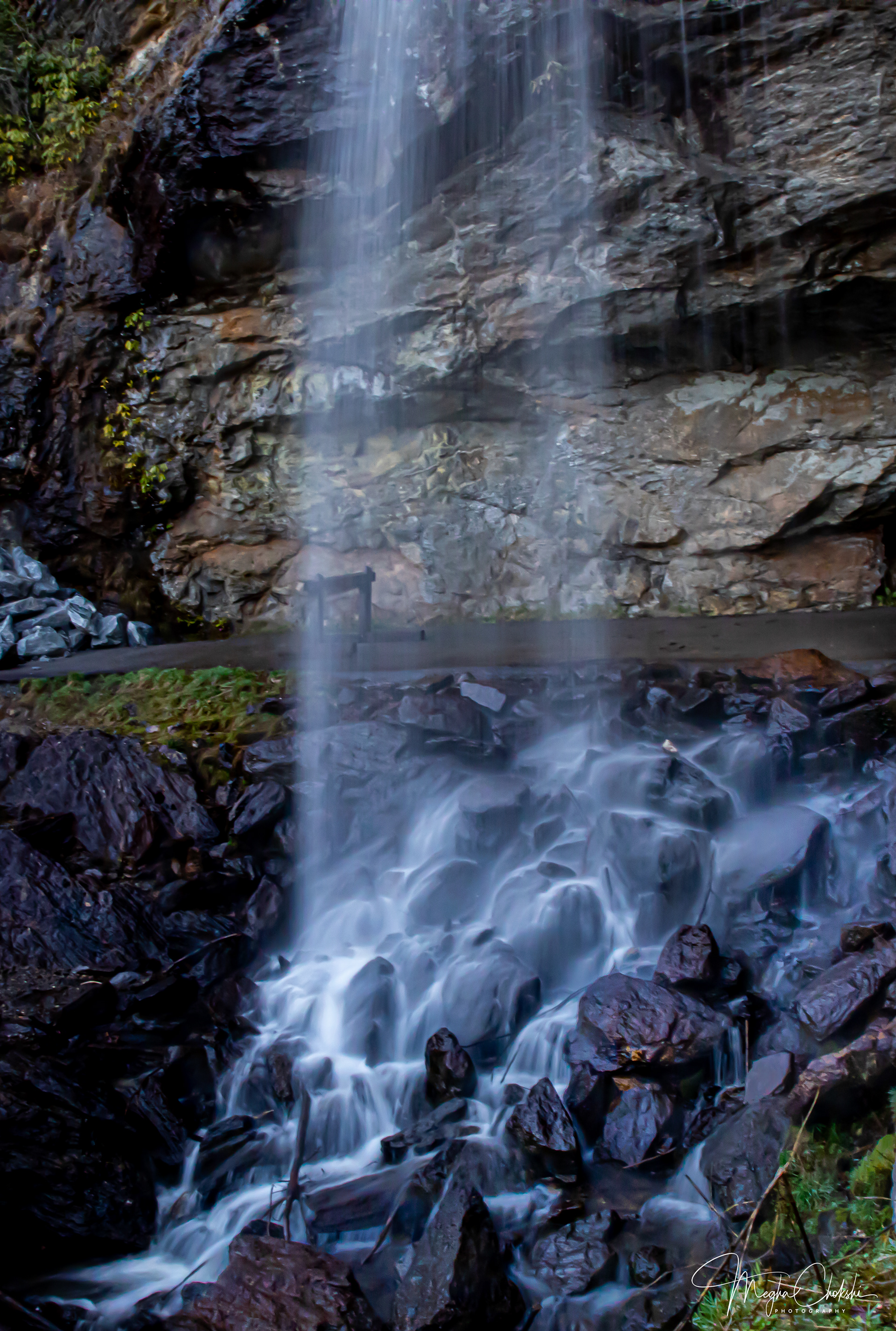 Great Smokey Mountains