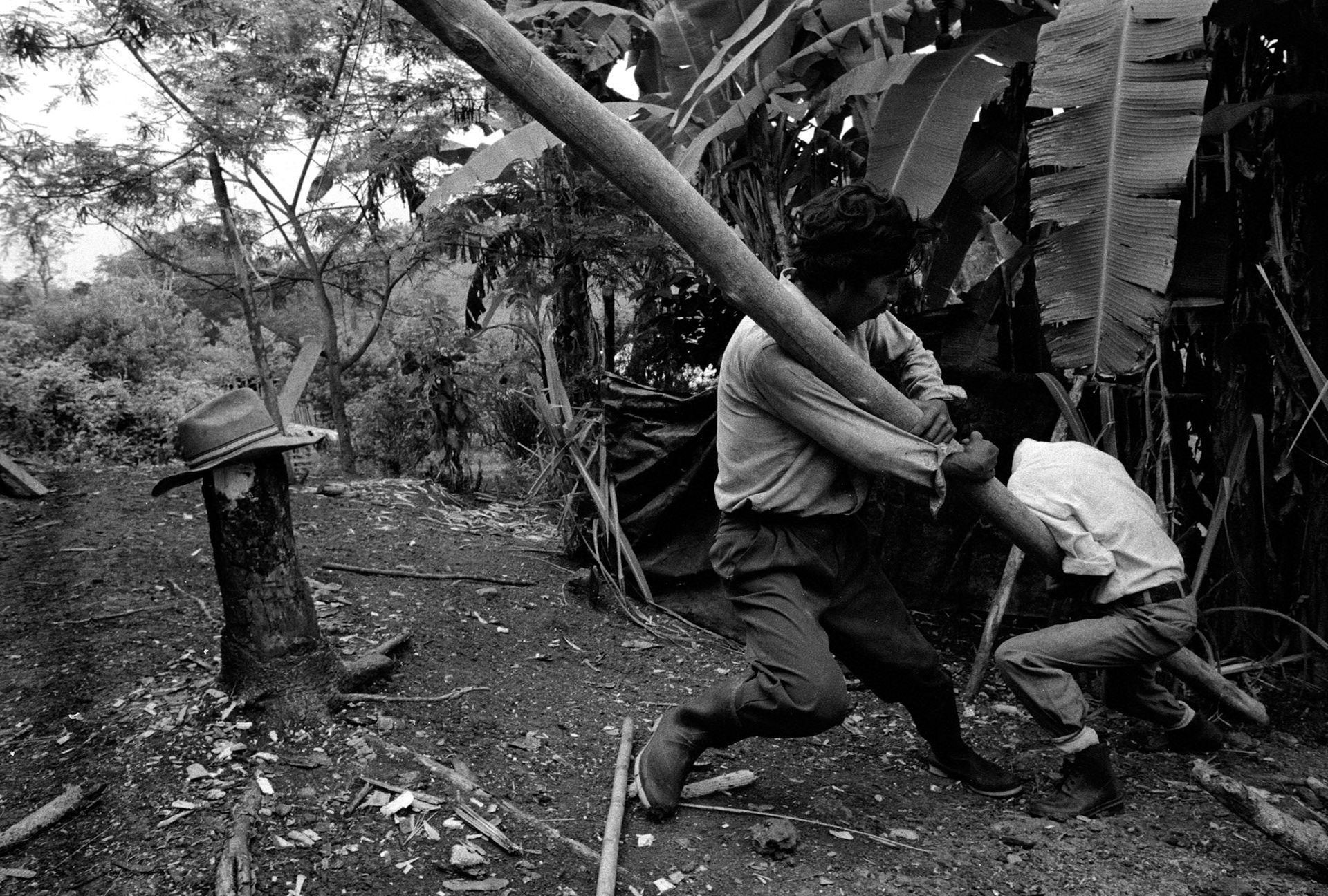 Stock image of Mayan men making repairs to their home after a rain storm blew through the Ixcan Jungle, Guatemala