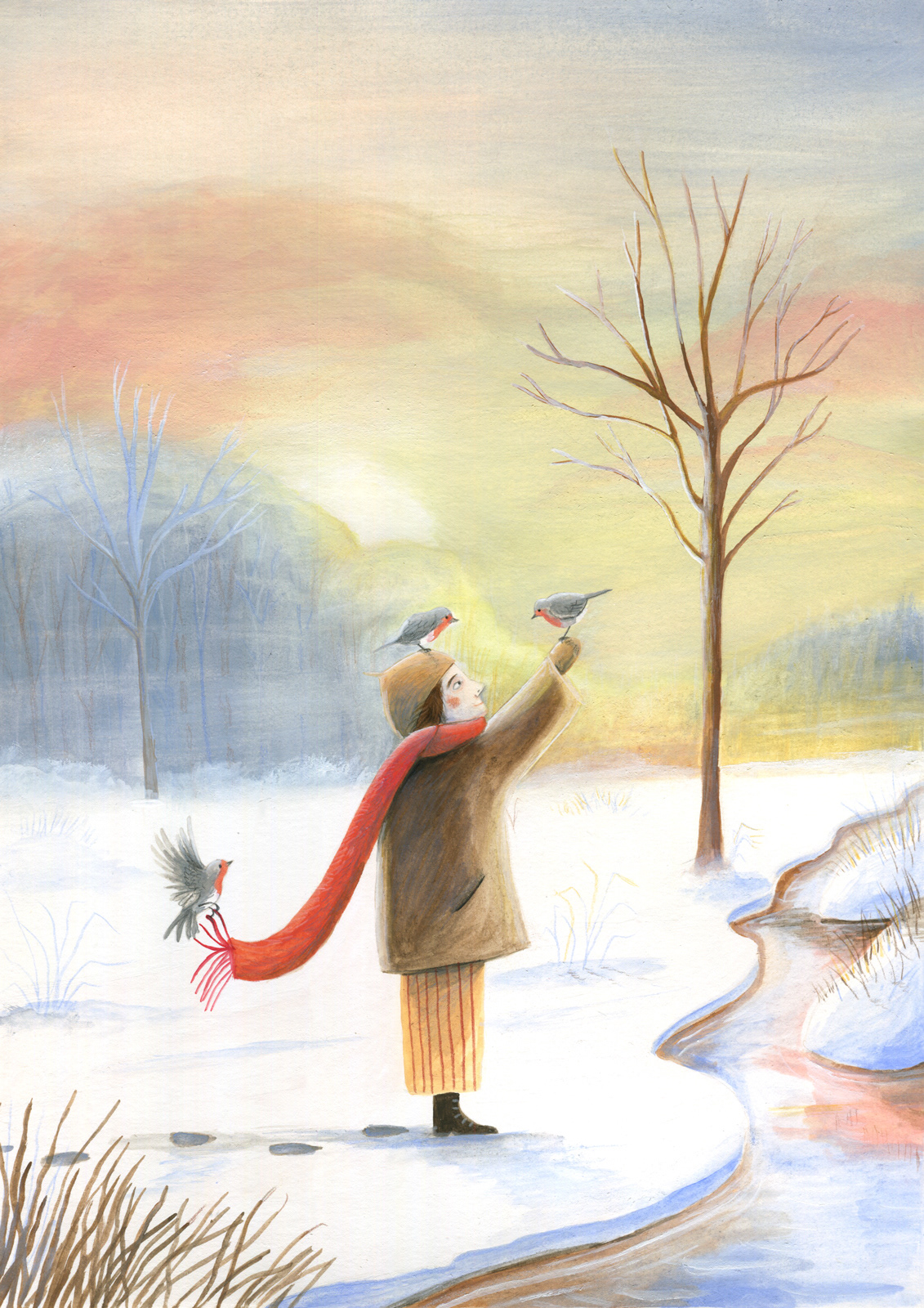 Quatre rouges-gorges