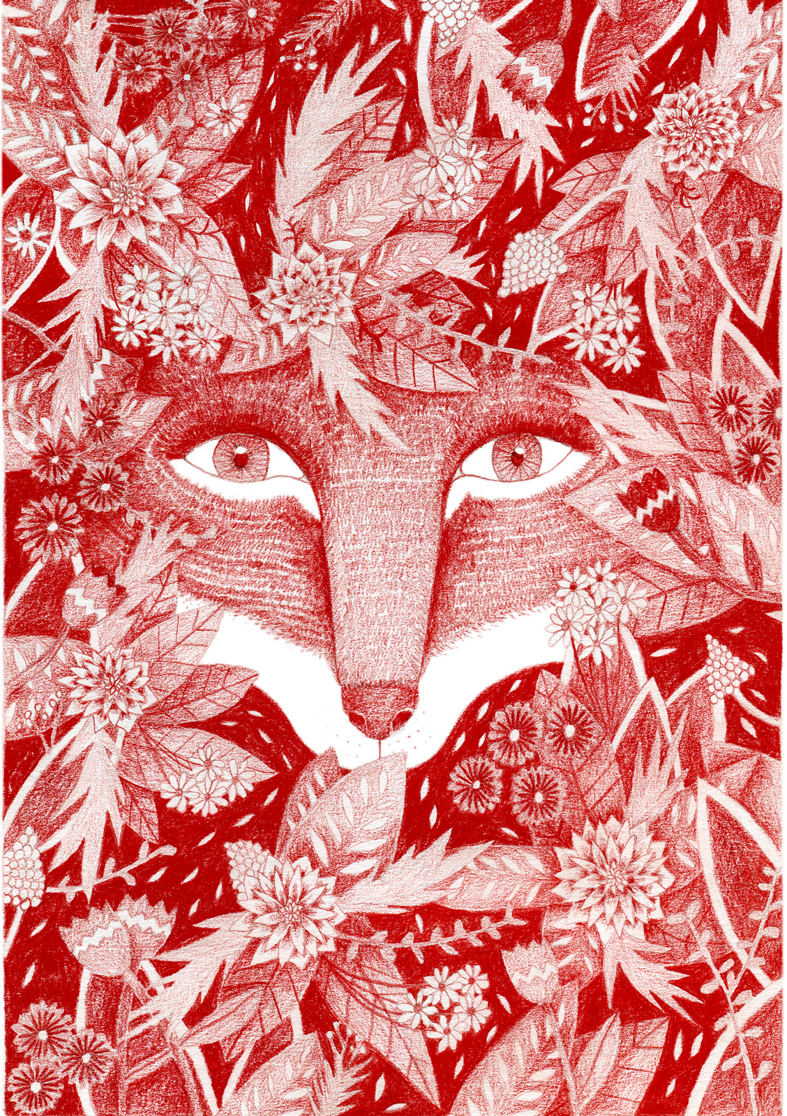 La Nature nous regarde