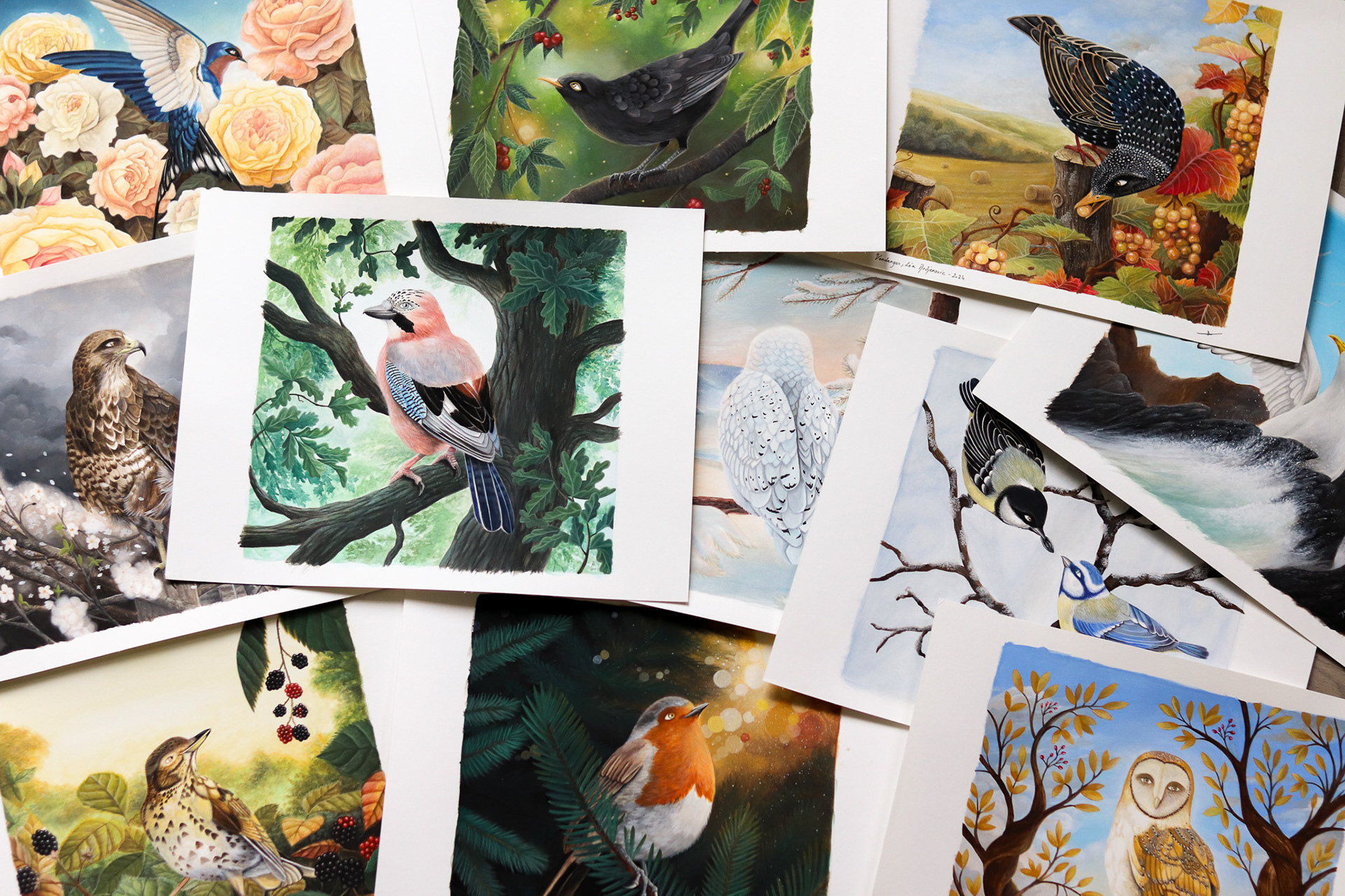 peintures d'oiseaux à la gouache au format carré sur papier