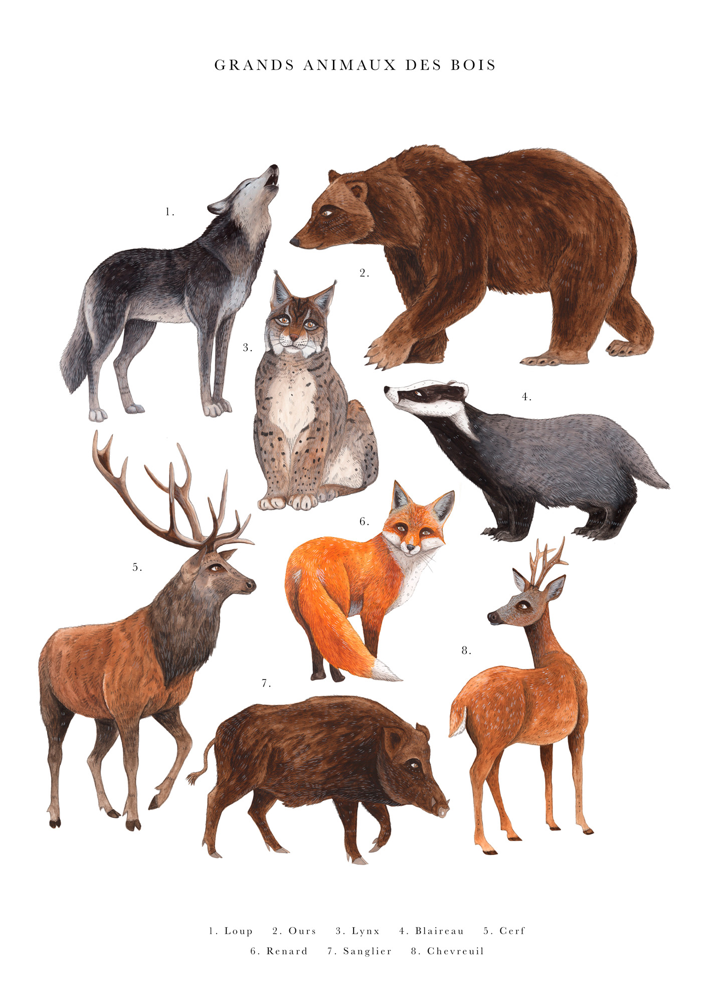 Les Grands animaux des bois