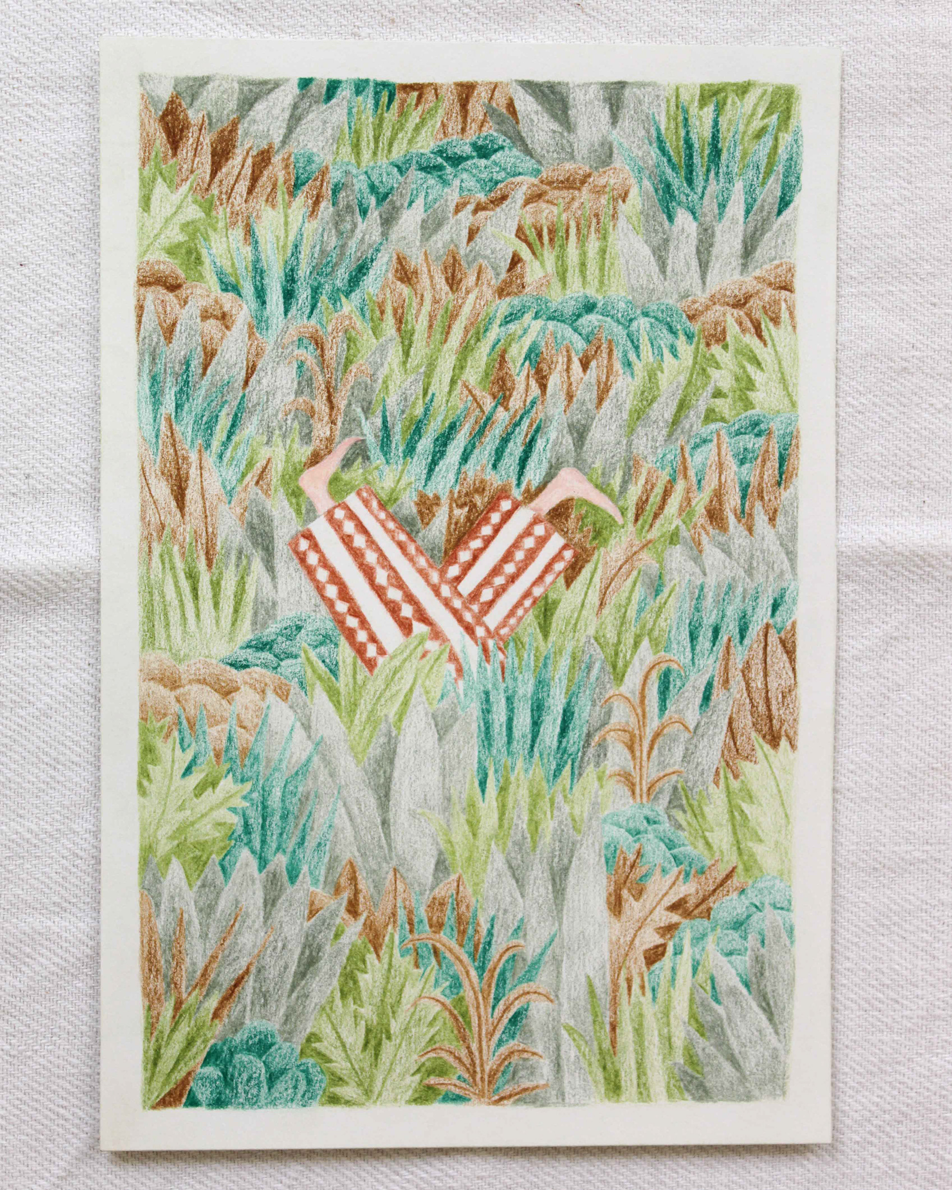 Curiosités, 14,7 x 21 cm, papier 180 g, crayons // 65 €