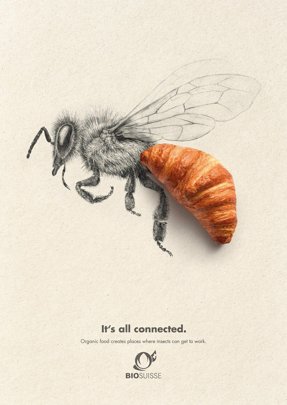 Bleistiftzeichnung einer Biene auf Papier. Der hintere Körperteil ist durch ein Foto von einem Croissant  ersetzt.