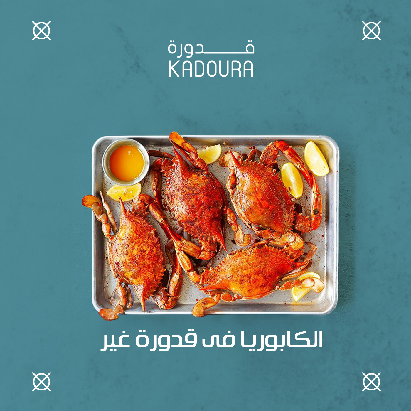 الكابوريا في قدورة أحلى طعم و أعلى قيمة غذائية. تعالى جرب دلوقتي! 🦀