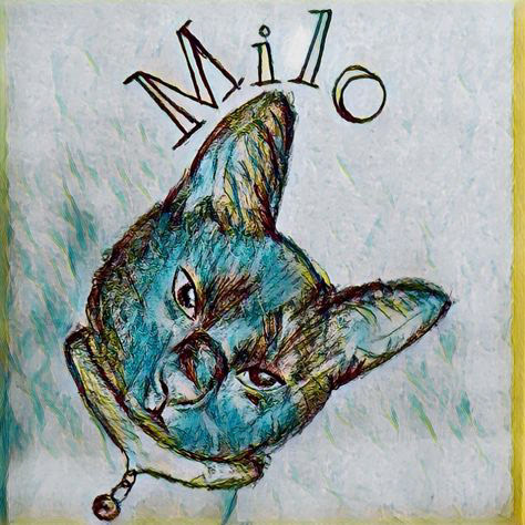 Milo