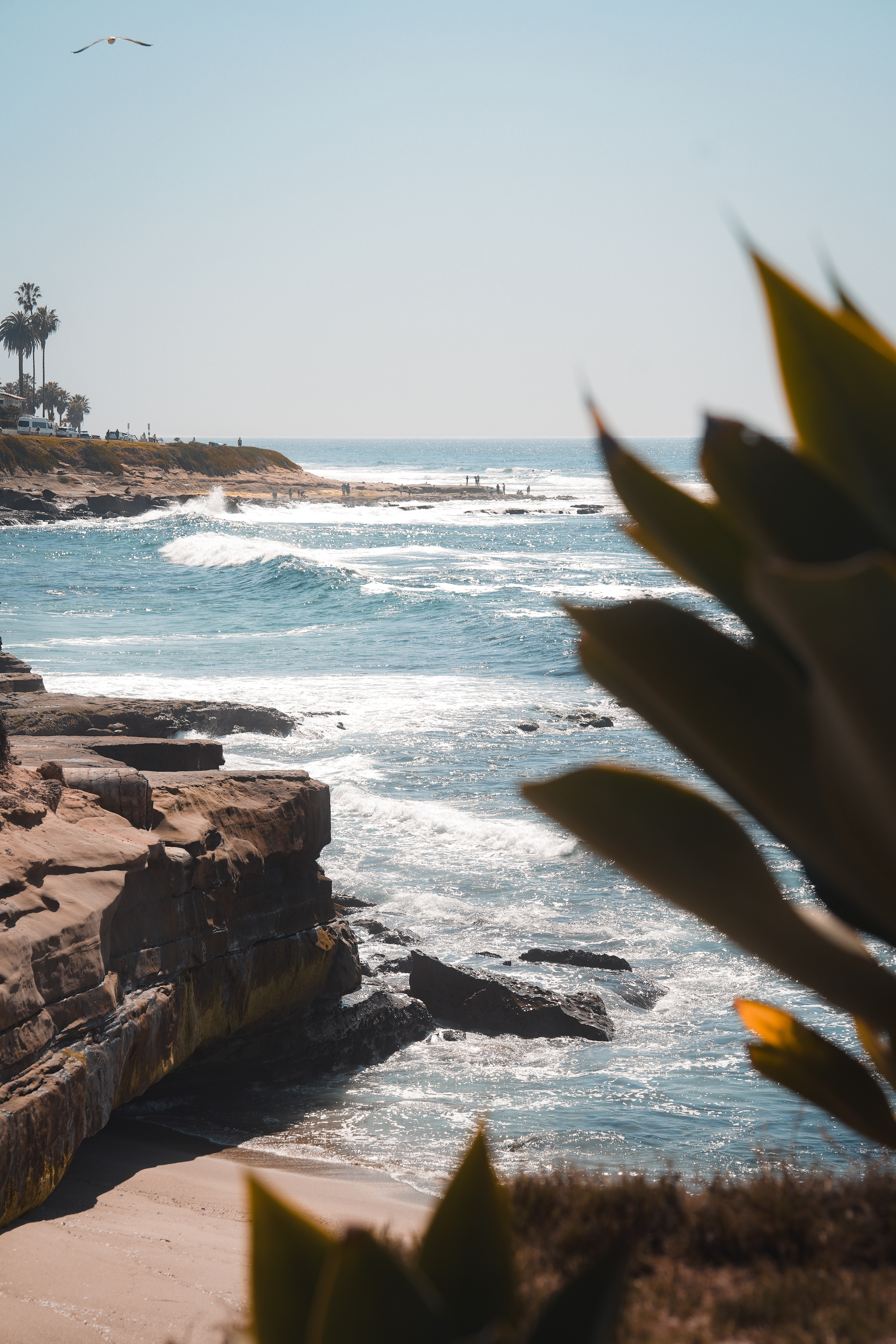 San Diego