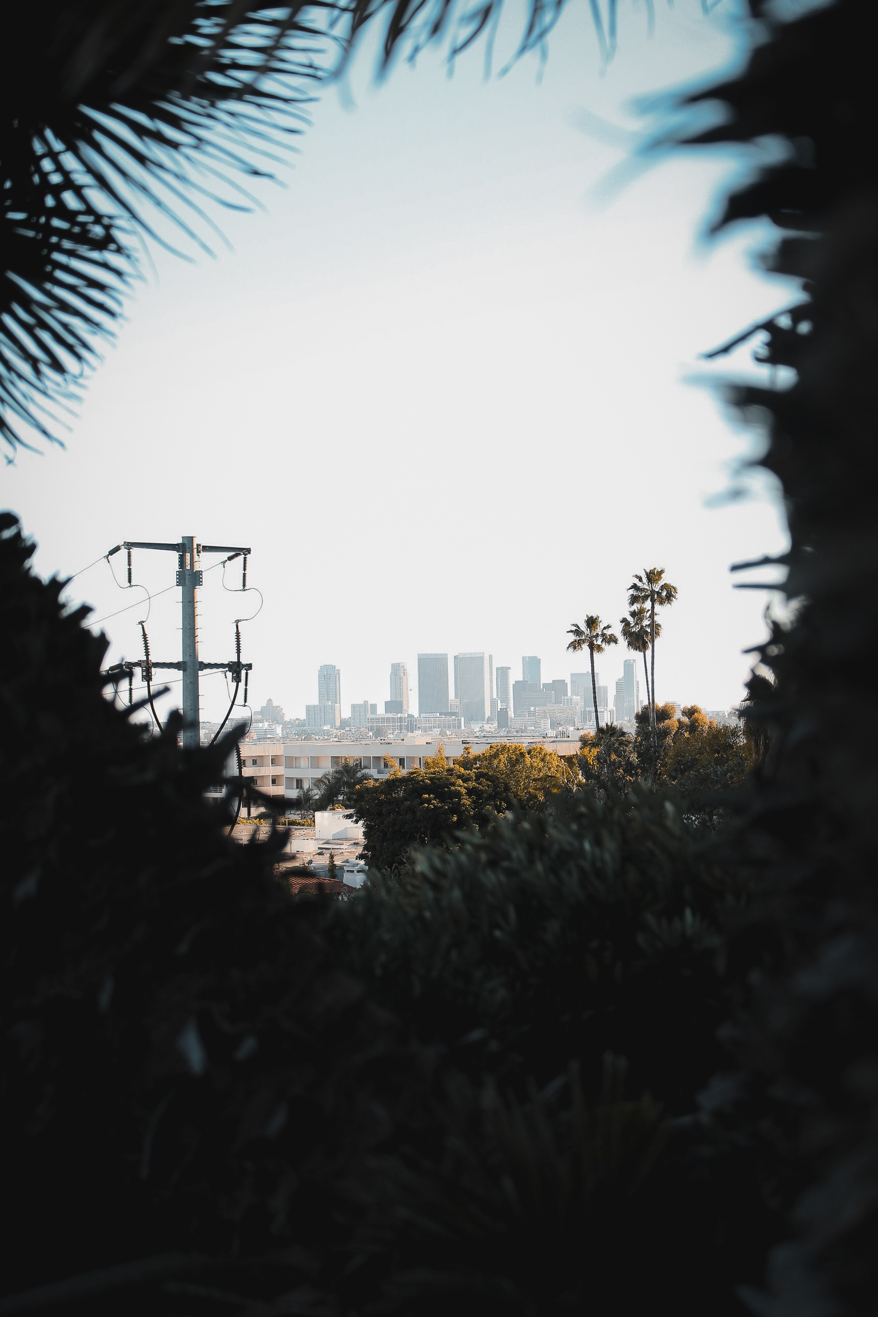 Los Angeles