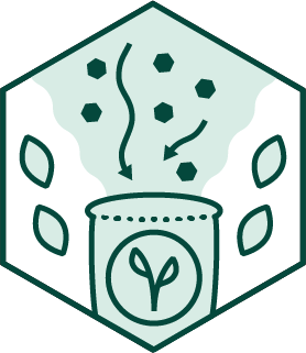 Biochar