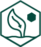 Soil Carbon