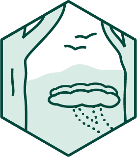 Conservation