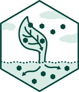 Soil Carbon