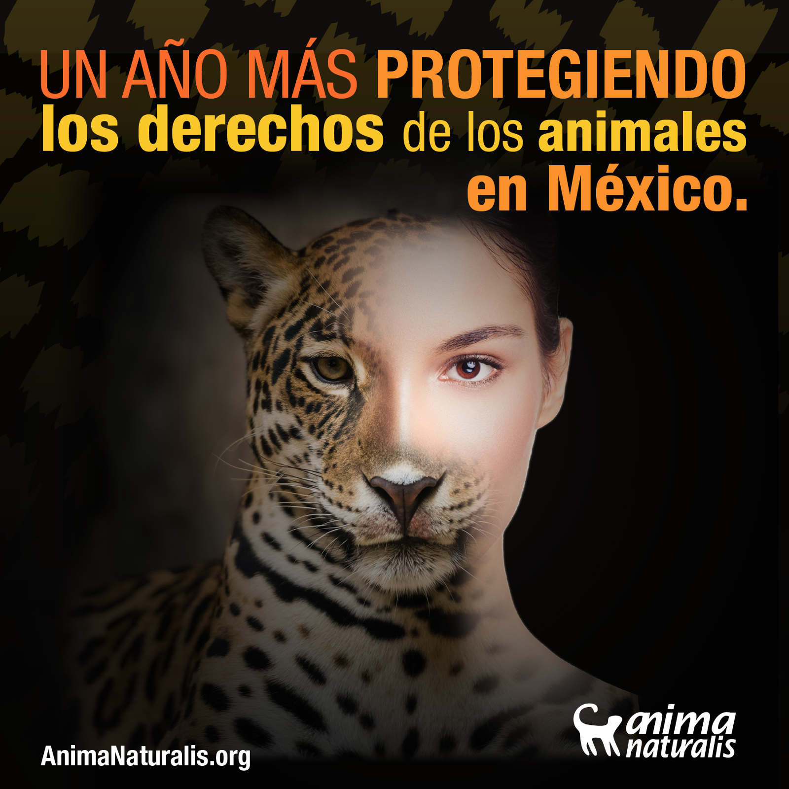 Social media content to commemorate another year of fighting for animal rights.