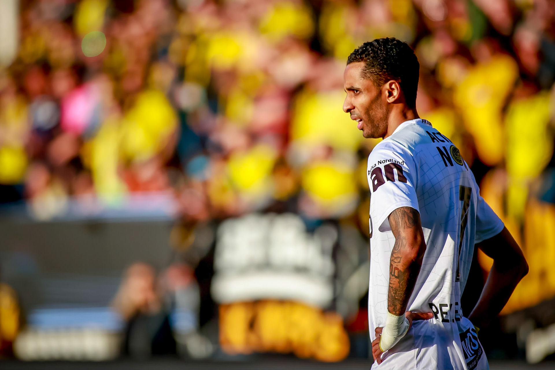  Amahl Pellegrinoi vårsola på Åråsen