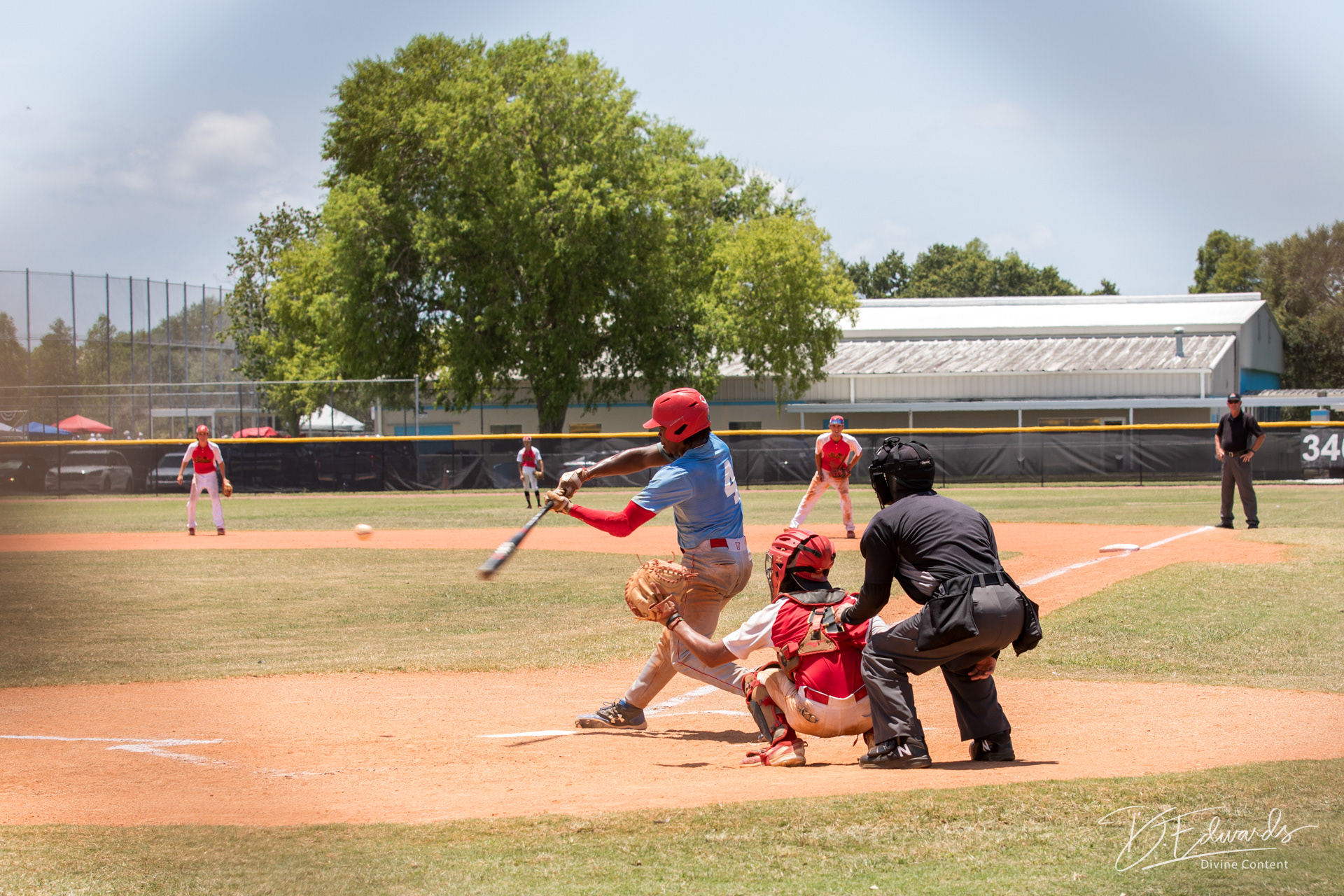 #TampaBay baseball