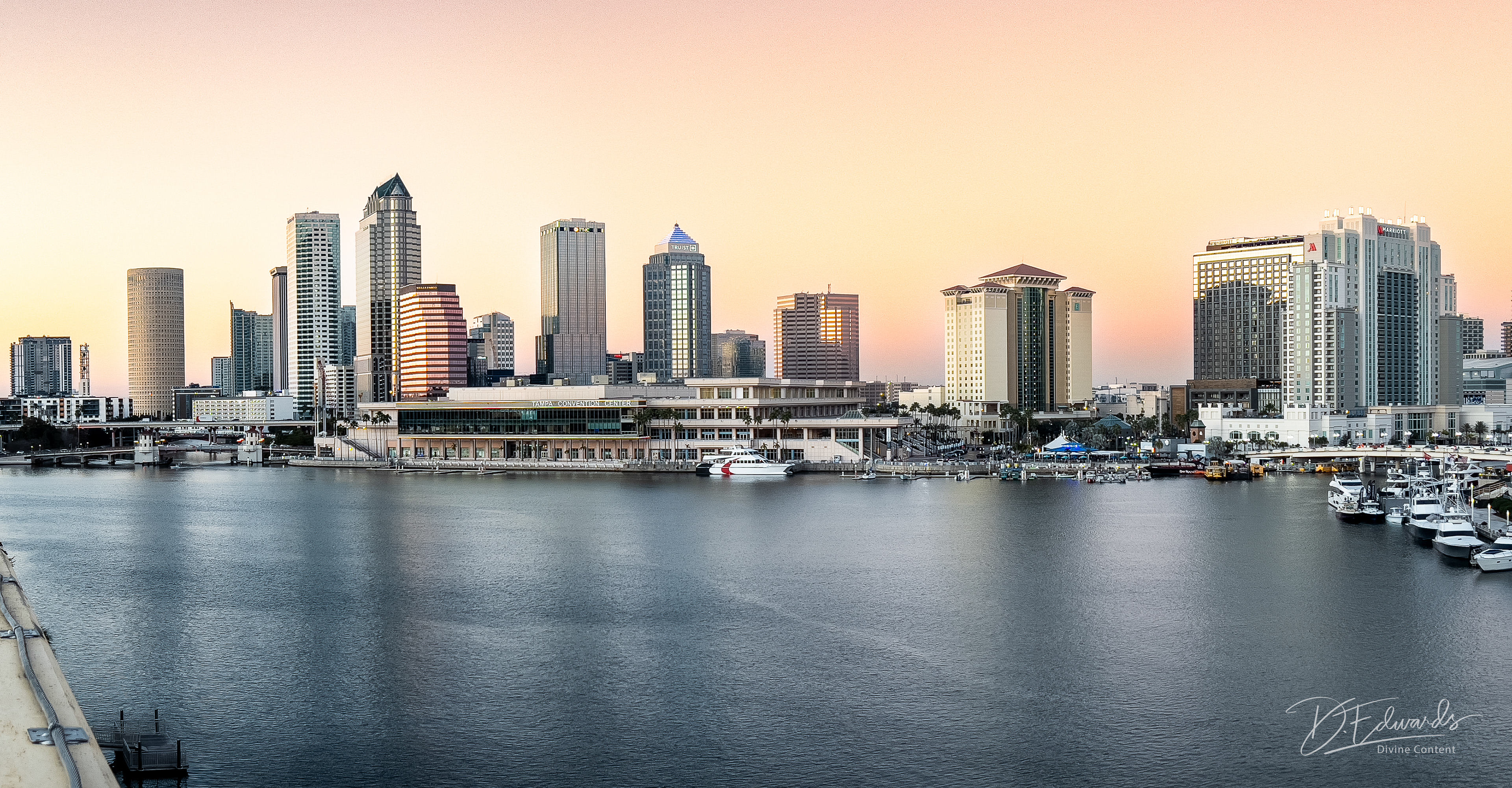 Tampa cityscape