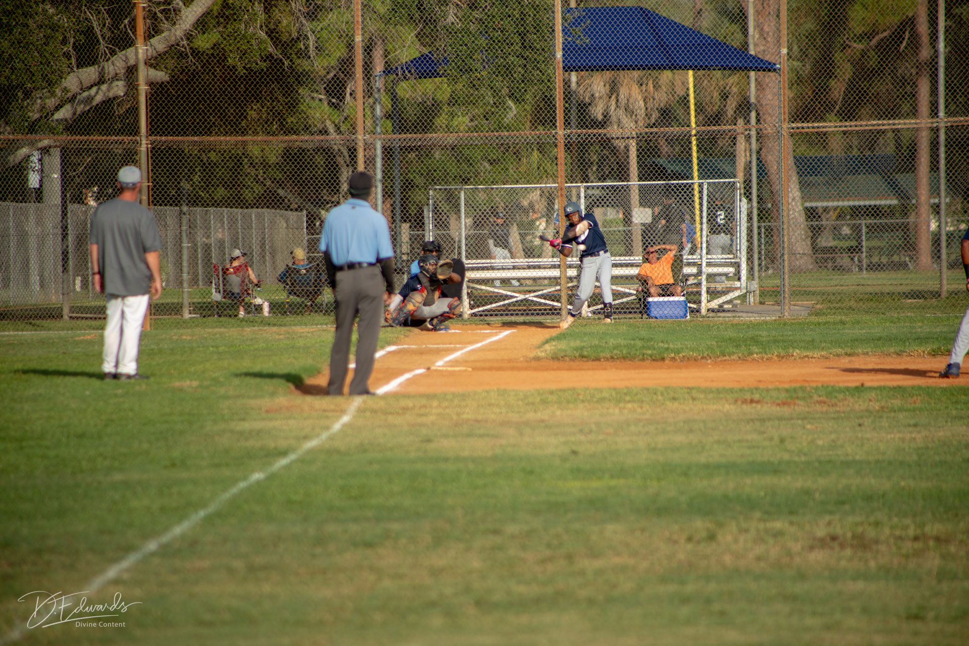 baseball league