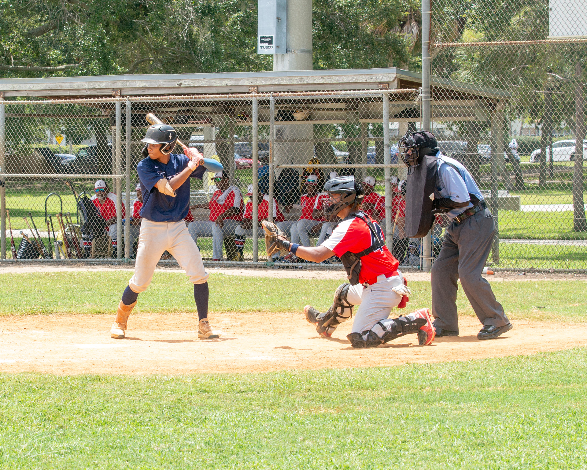 St Pete baseball