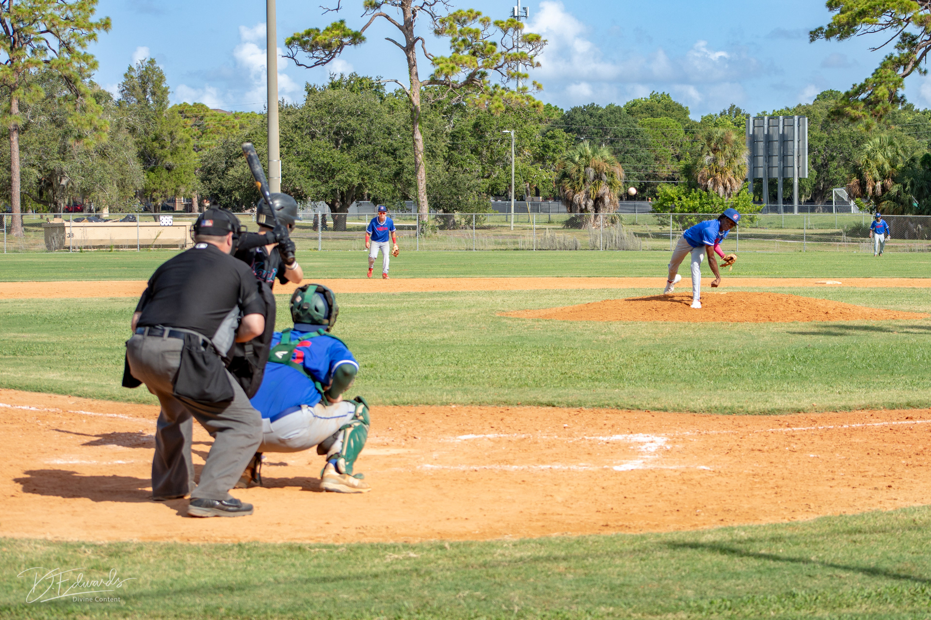 baseball league