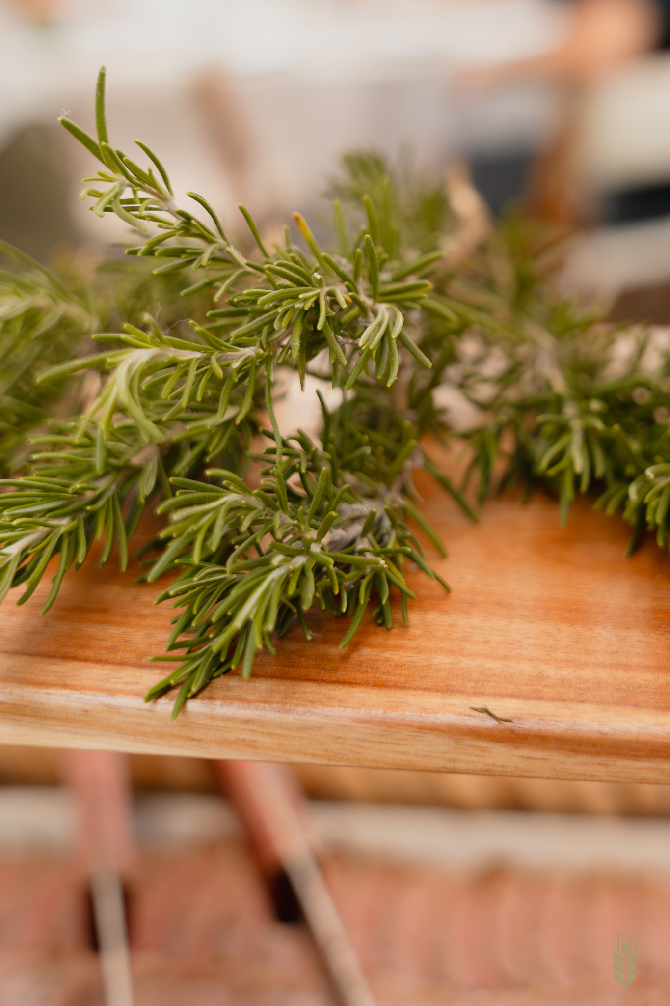 Fotografia Cumpleaños Infantil- Costa de Oro