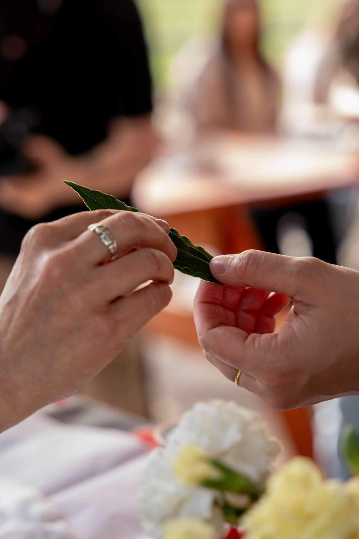 Fotografia-Campaña  para The Vinito Club- Canelones 