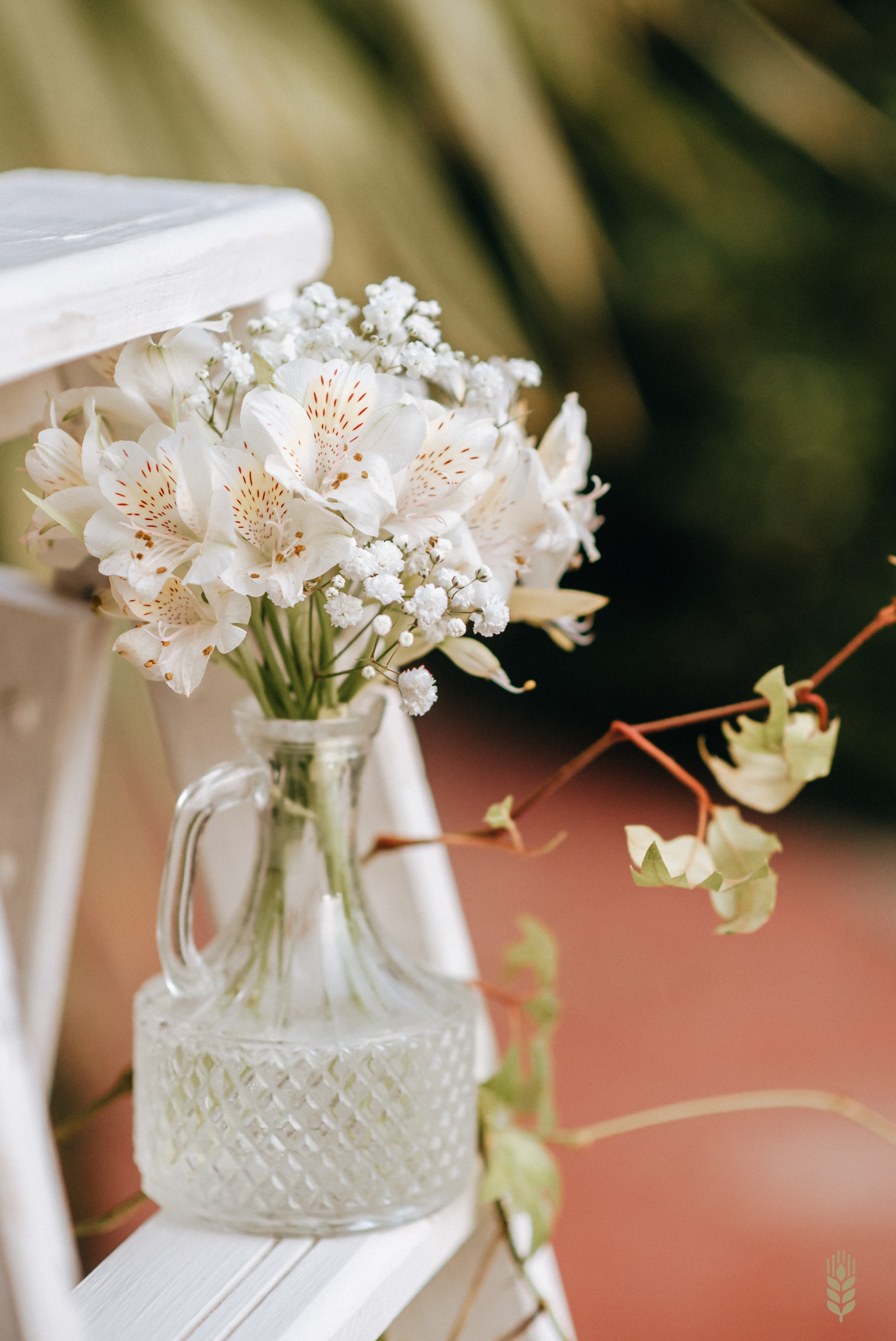 Fotografia de Fiesta - Canelones
