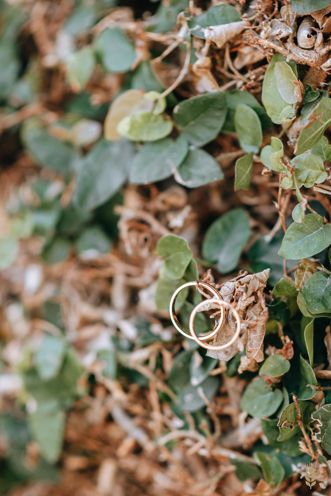 Fotografia de Aprontes - Canelones