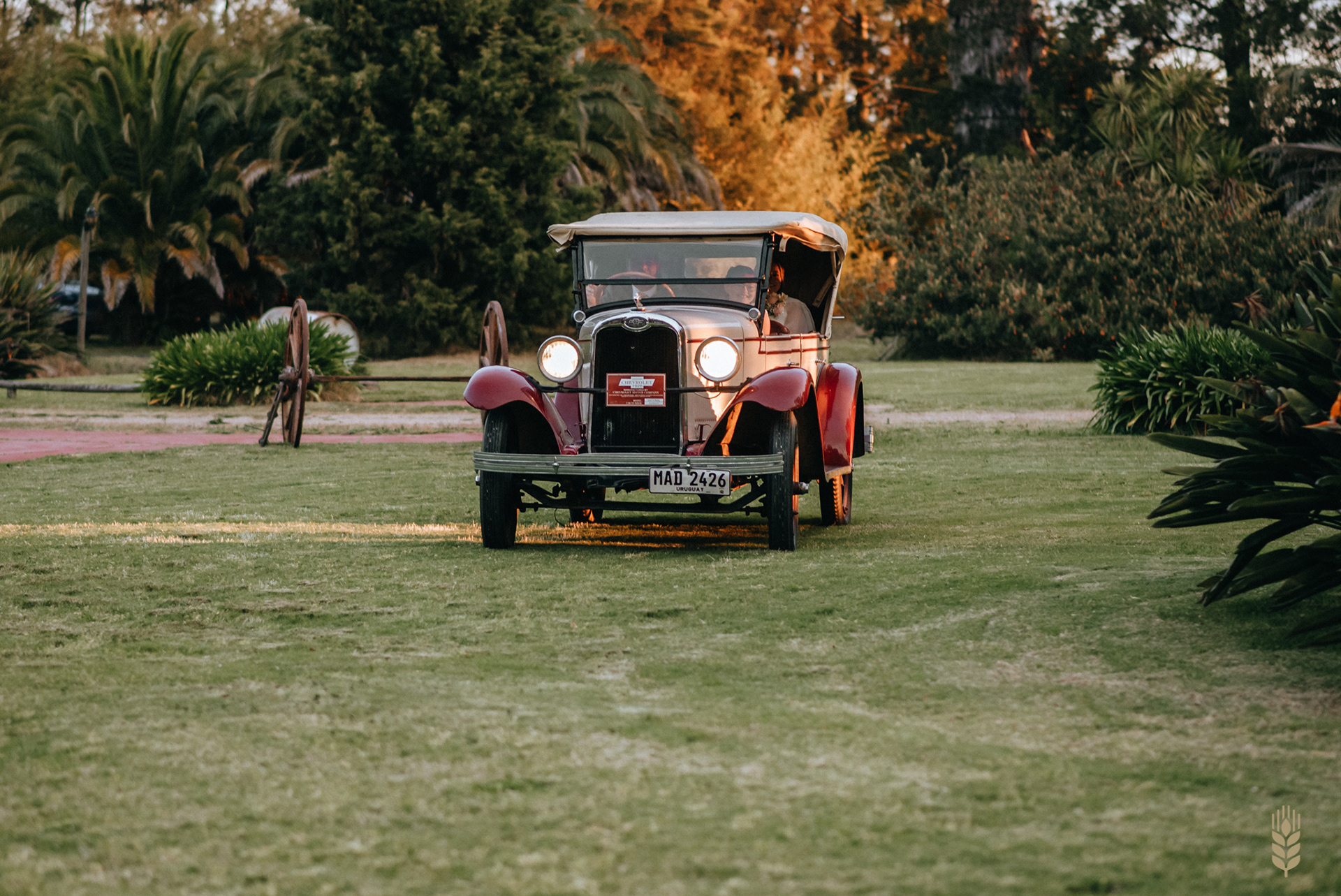 Fotografia de Fiesta - Canelones