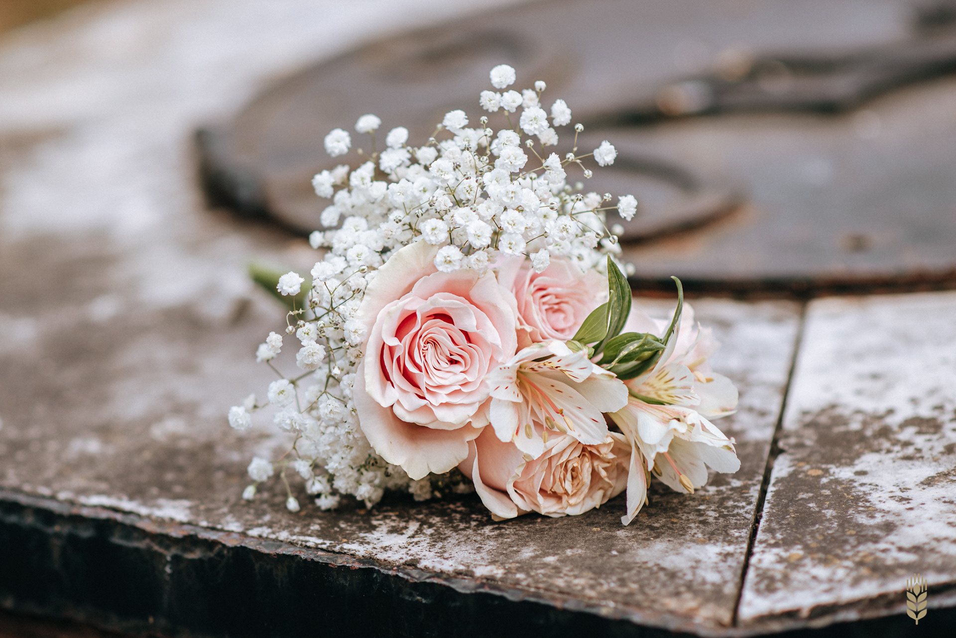 Fotografia de Aprontes - Canelones