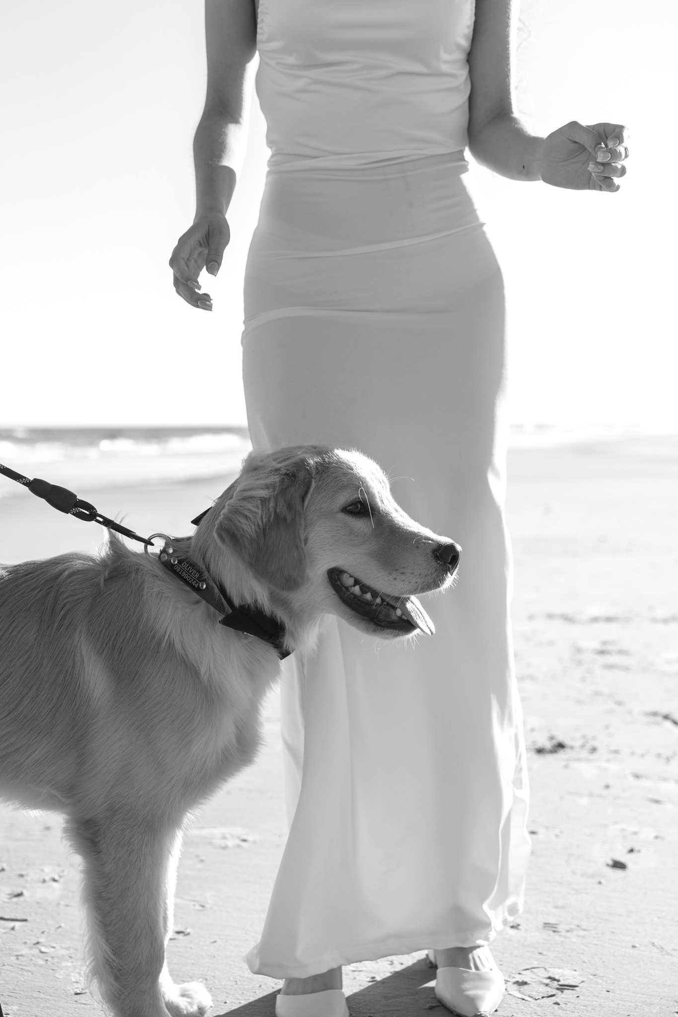 Fotografia de Postboda - Ciudad de la Cost