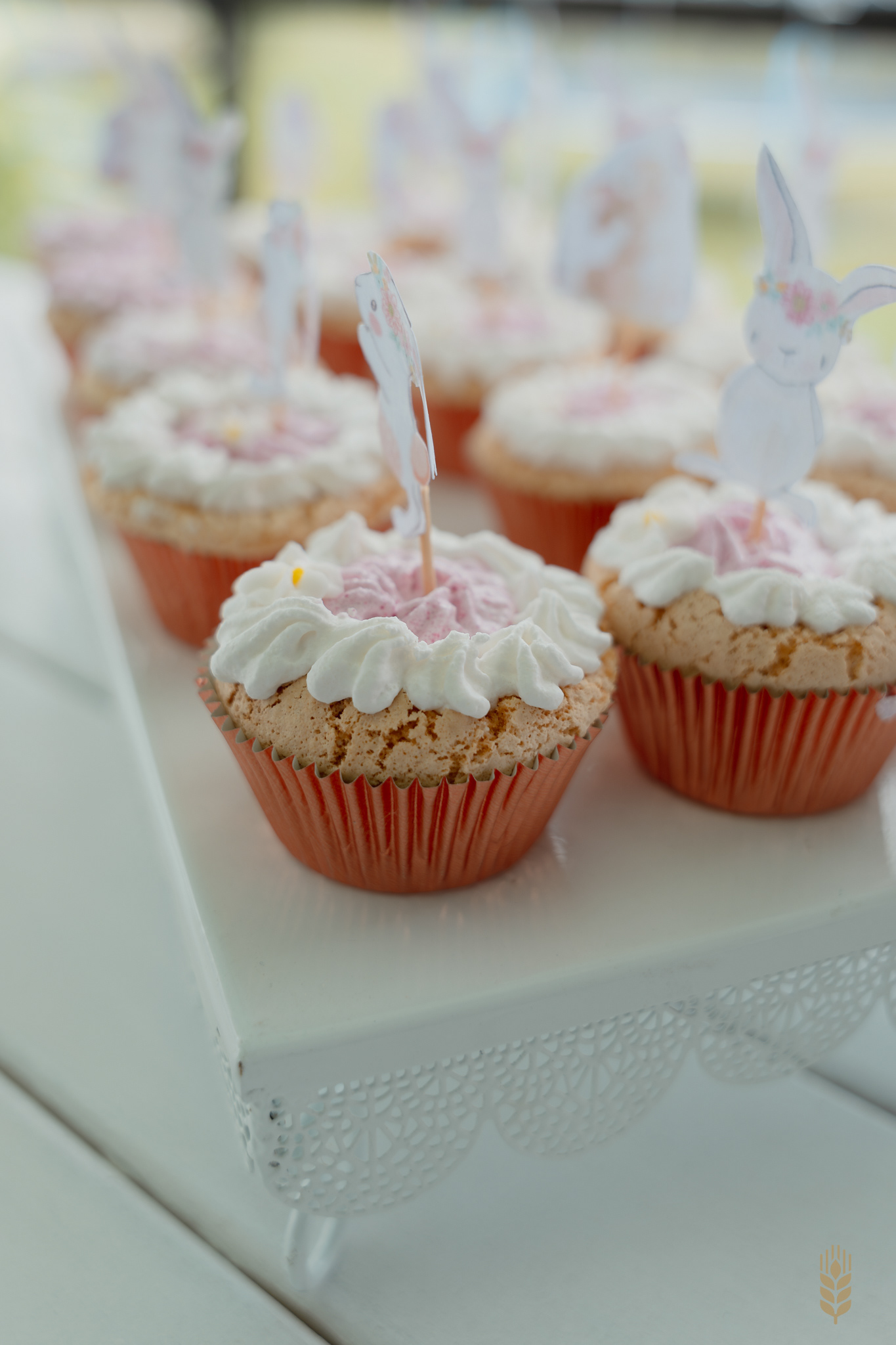 Fotografia Cumpleaños Infantil- Ciudad de la Costa