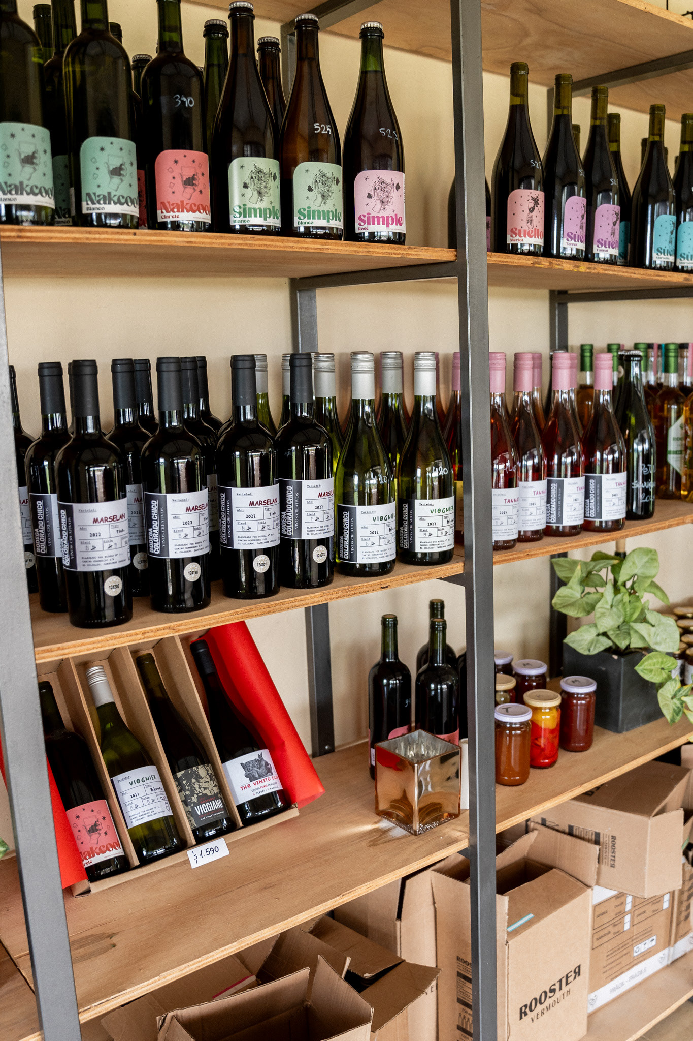 Fotografia-Campaña  para The Vinito Club- Canelones 