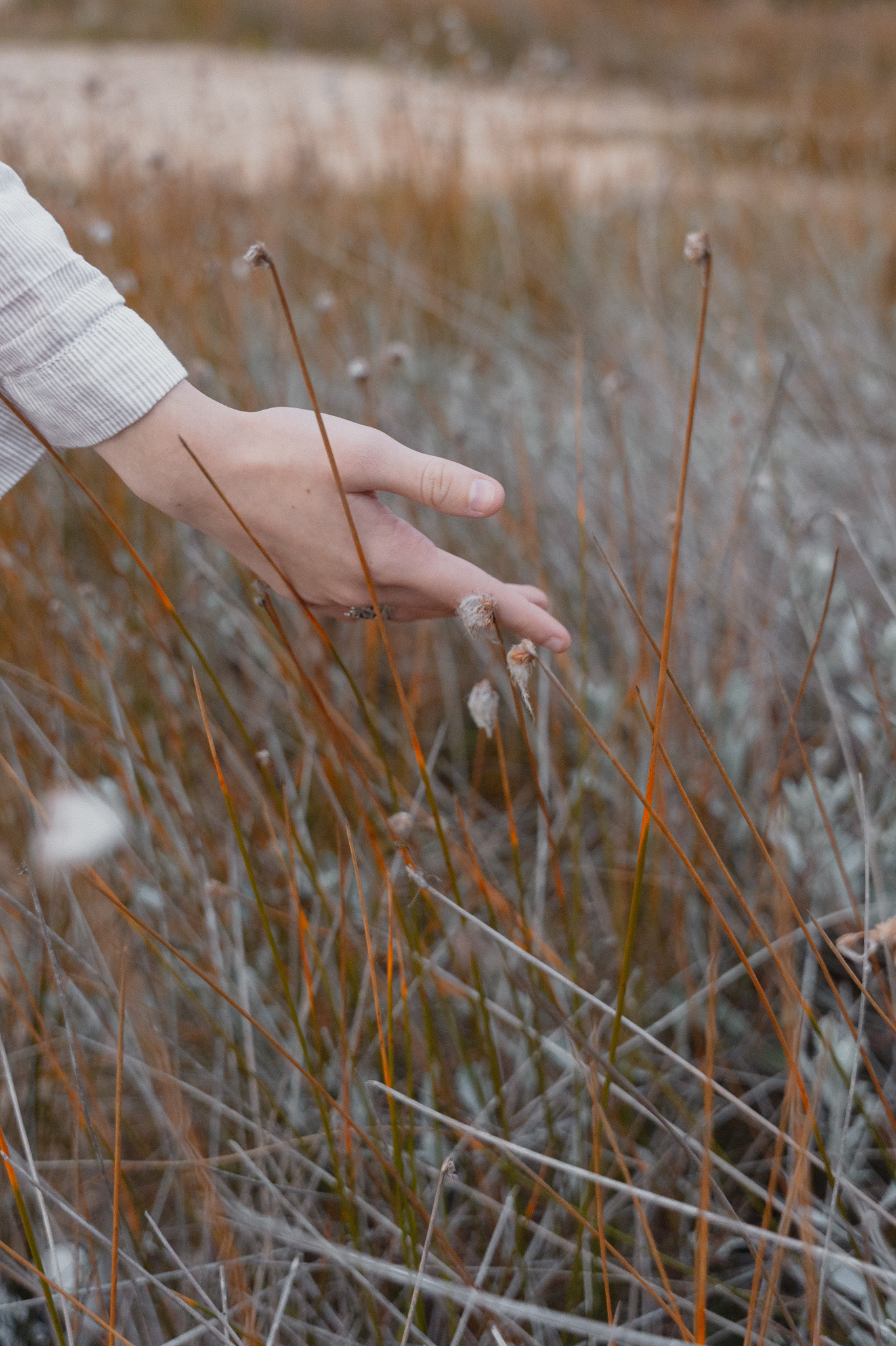 Fotografia de Exteriores 15 años - Ciudad de la Costa 