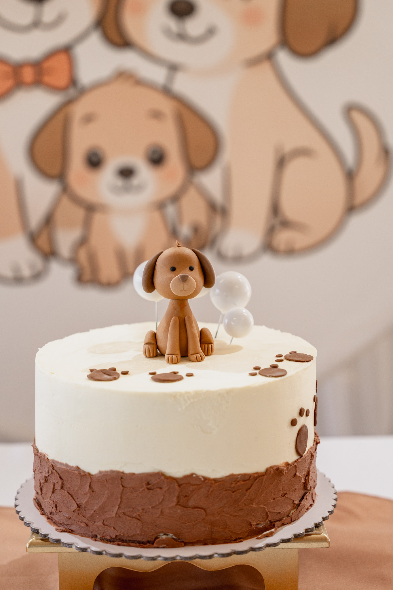 Fotografia Cumpleaños Infantil- Ciudad de la Costa