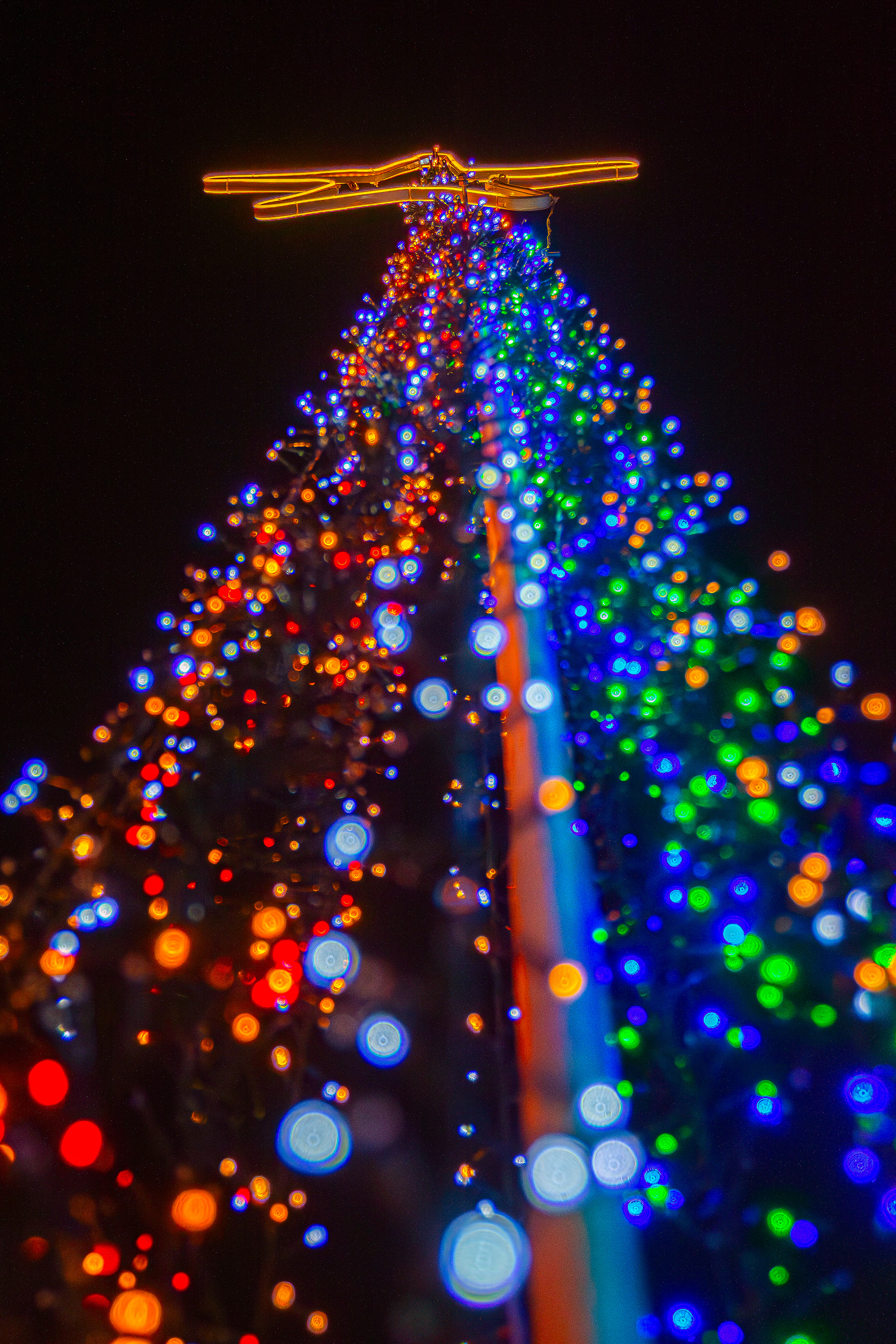 Le sapin de 5m de Haut