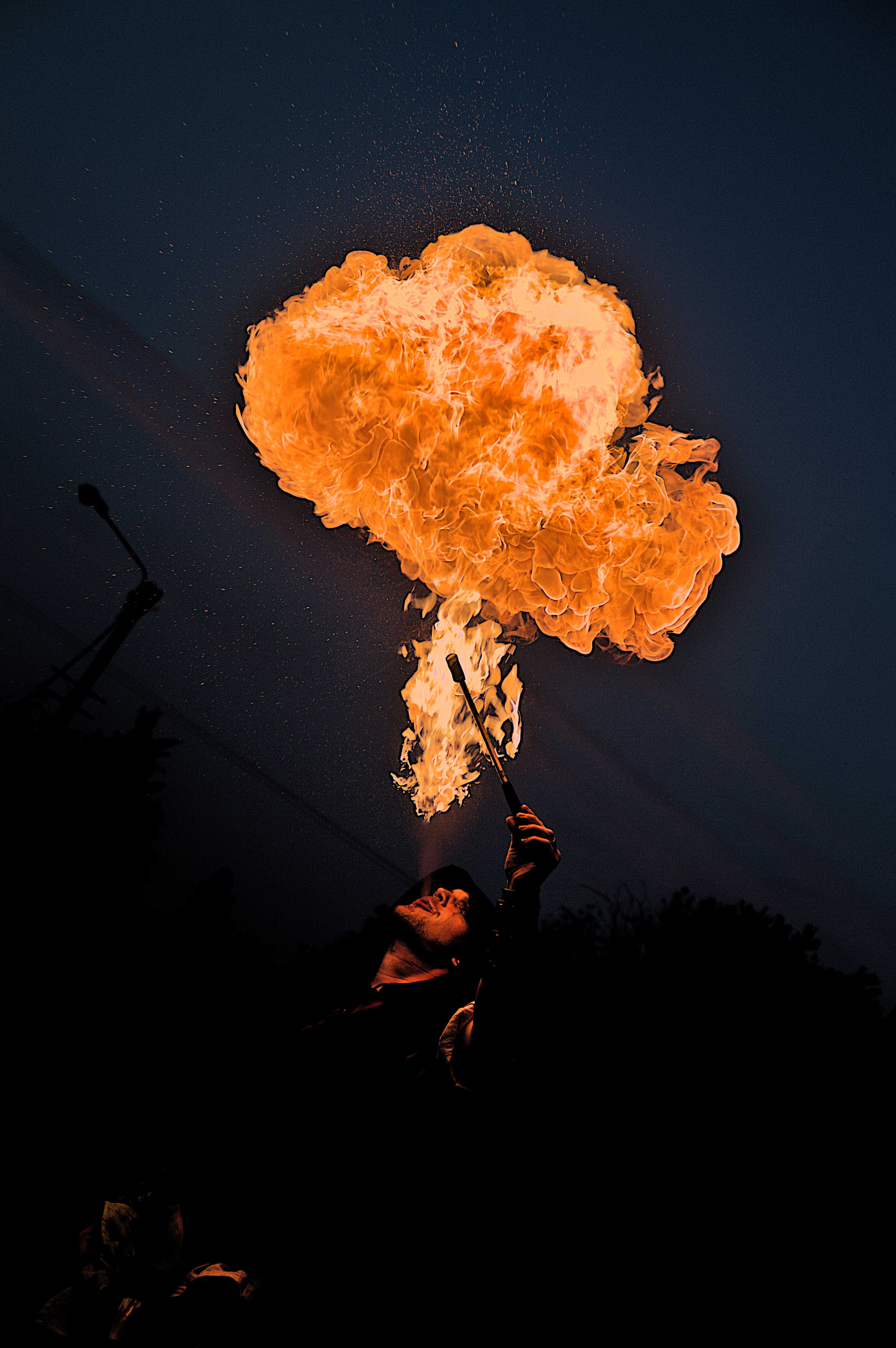 Cucurbitades à Marchiennes - 2024