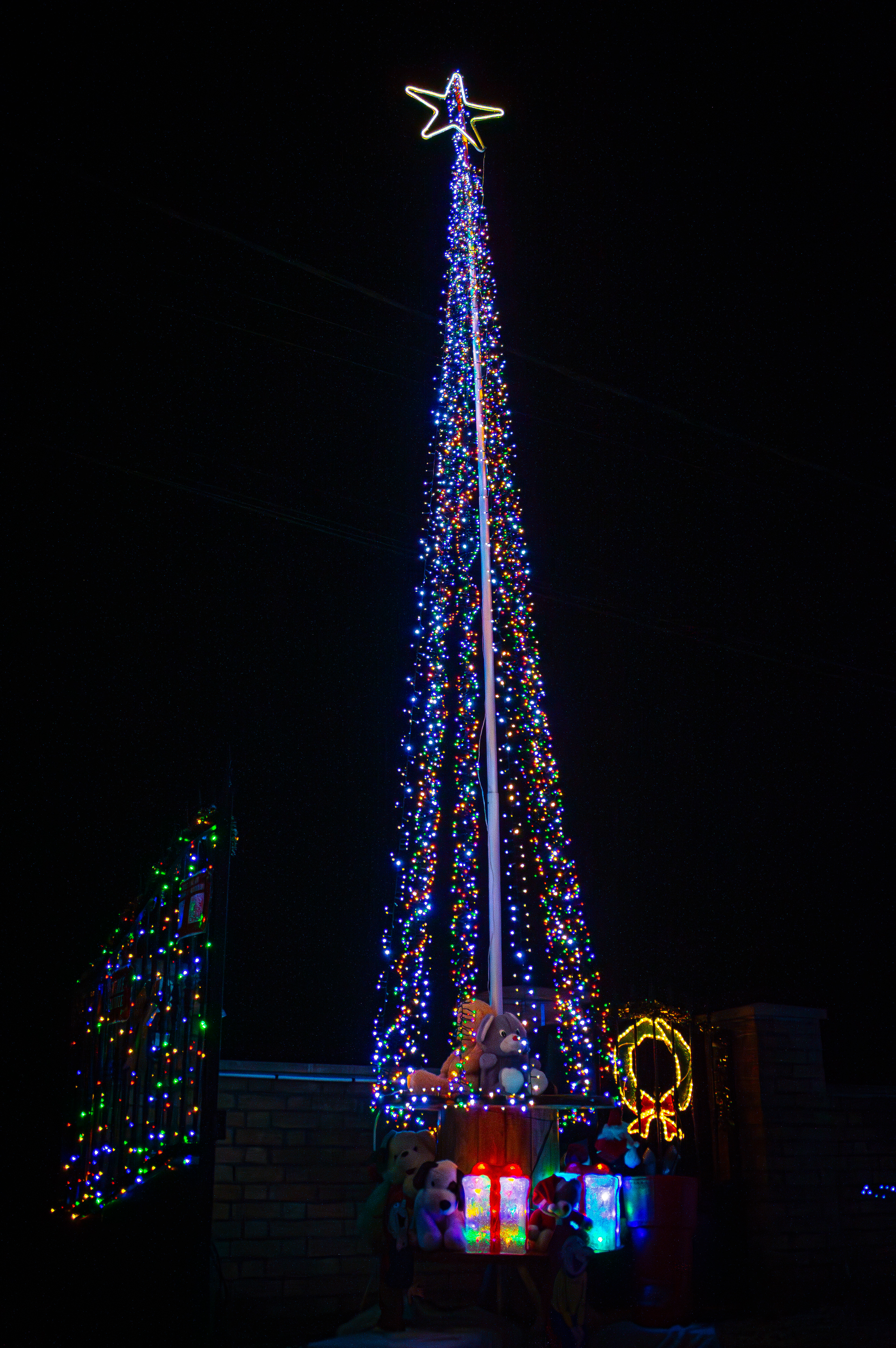 Le sapin de 5m de haut