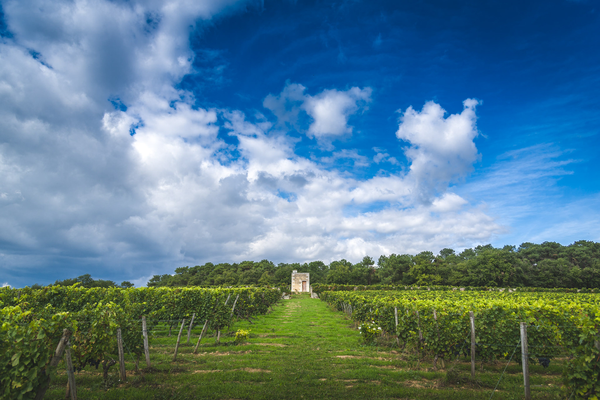 Clos Cristal - Saumur