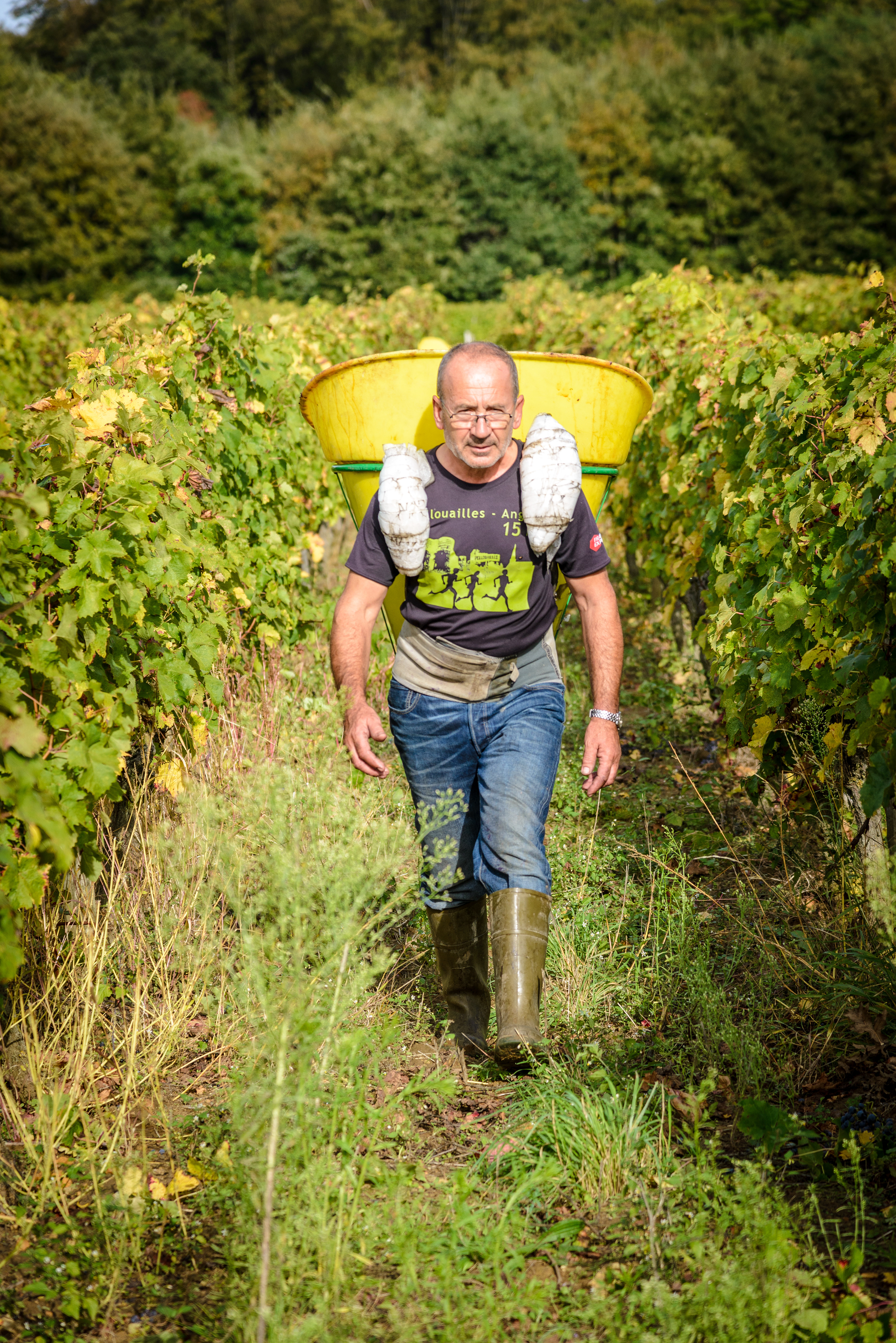 Arnaud Lambert - Vigneron