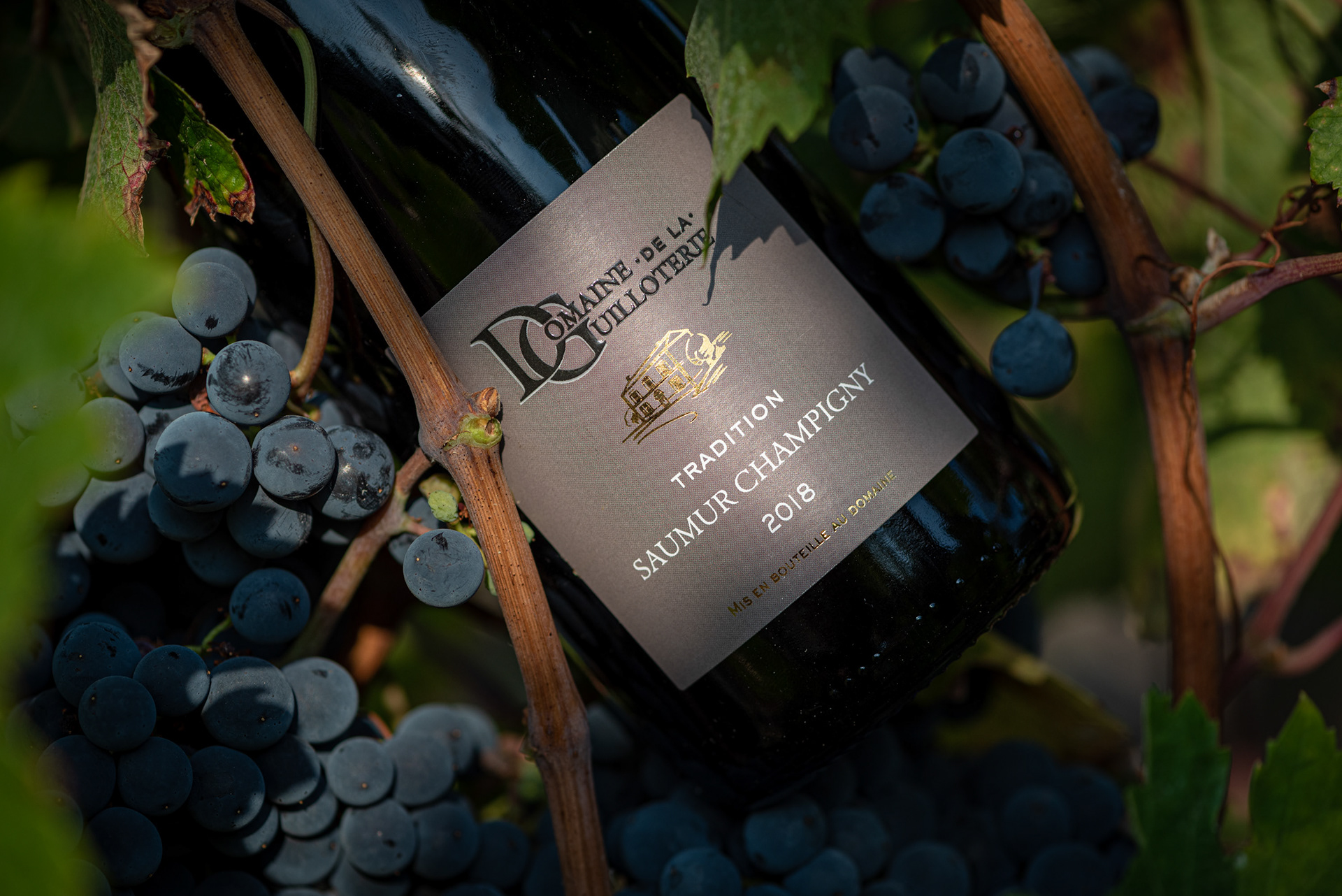 Domaine de la Guilloterie