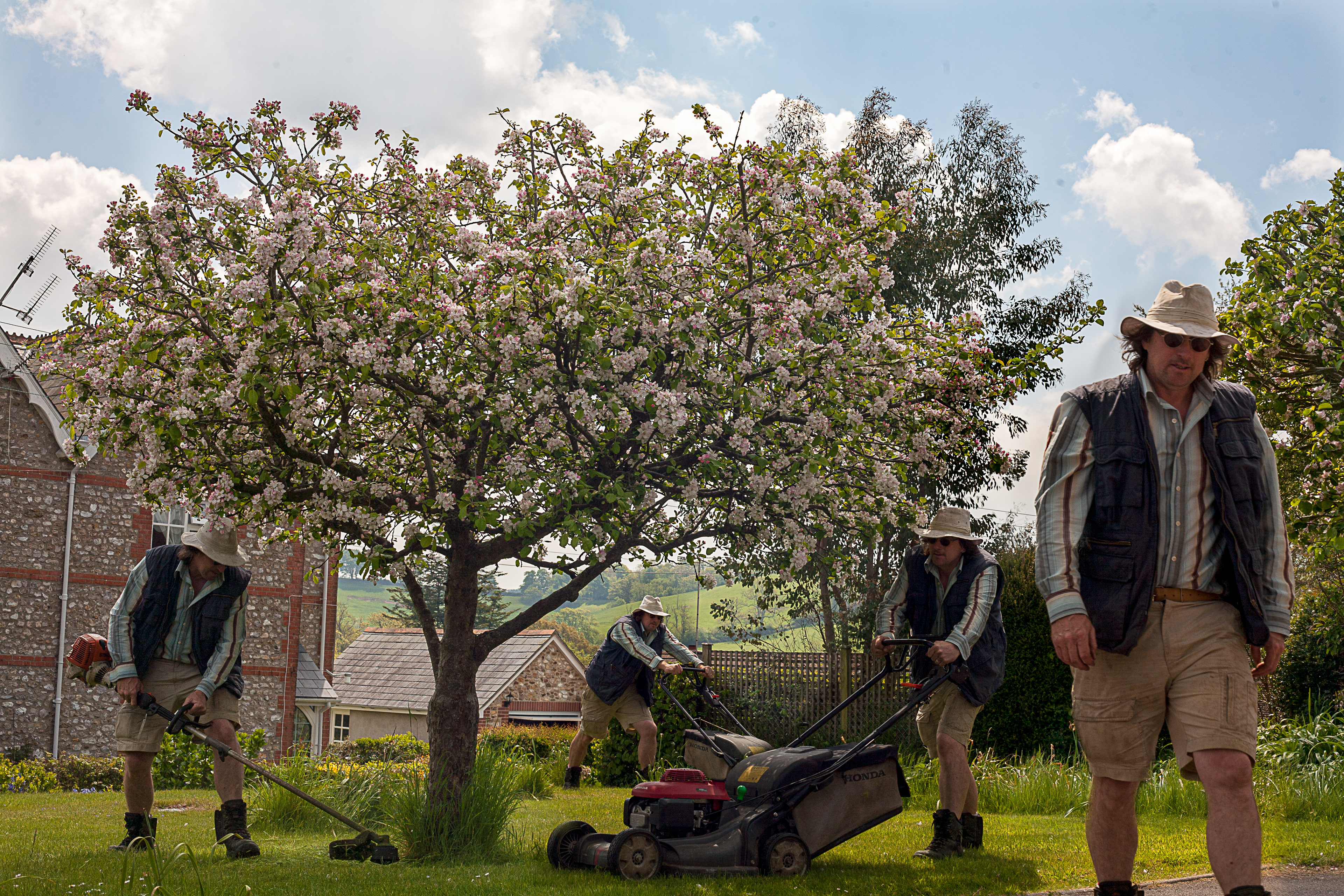 Scene of a fruit tree in a lawn with workmen mowing and strmming