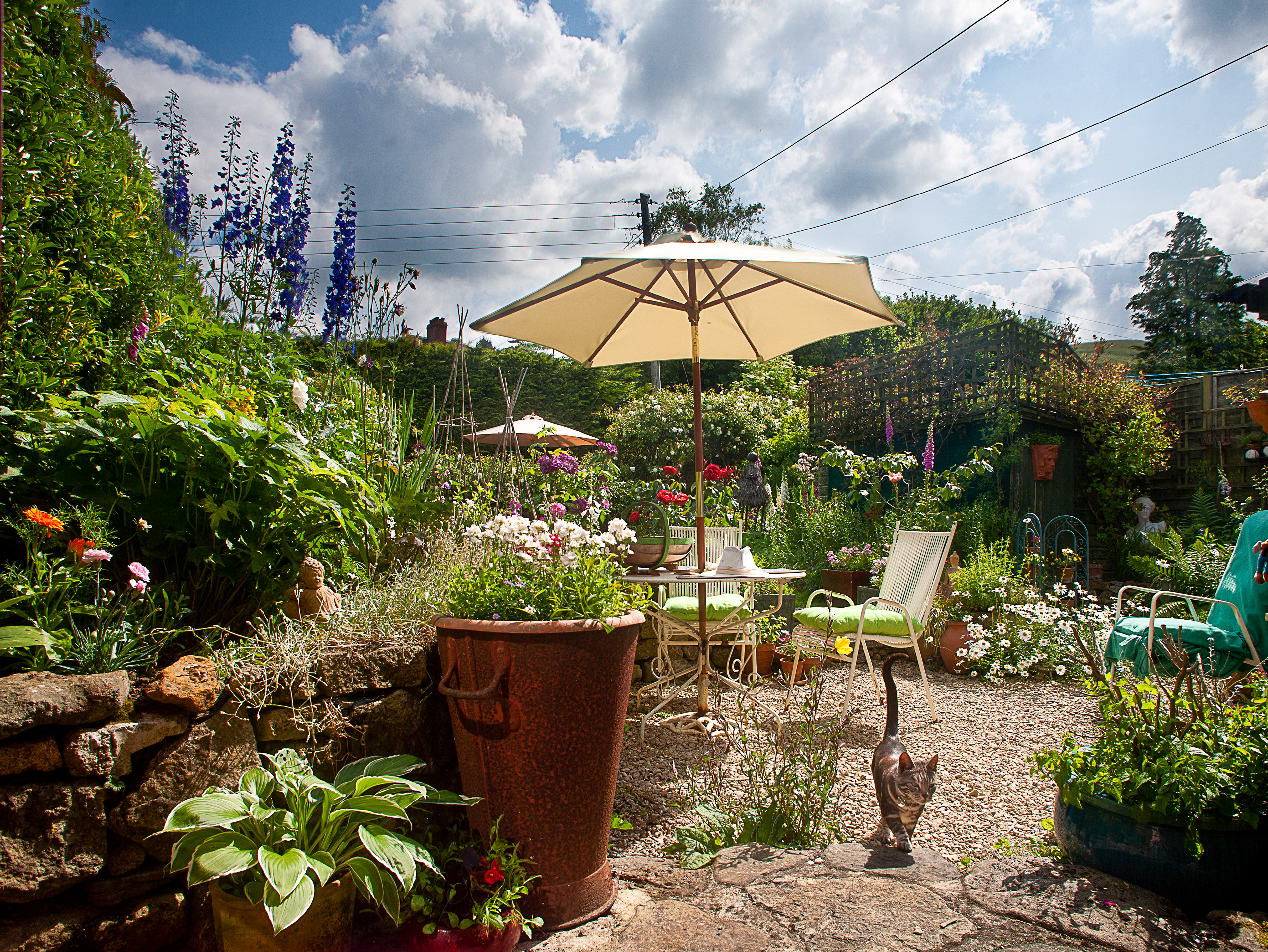 Beautiful cottage style garden scene with raised beds and pots paving and gravel, table chairs and parasol