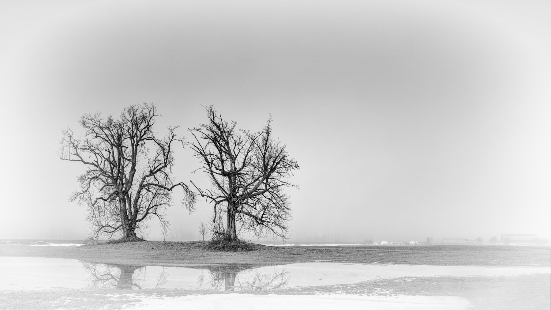 THE SENTINELS