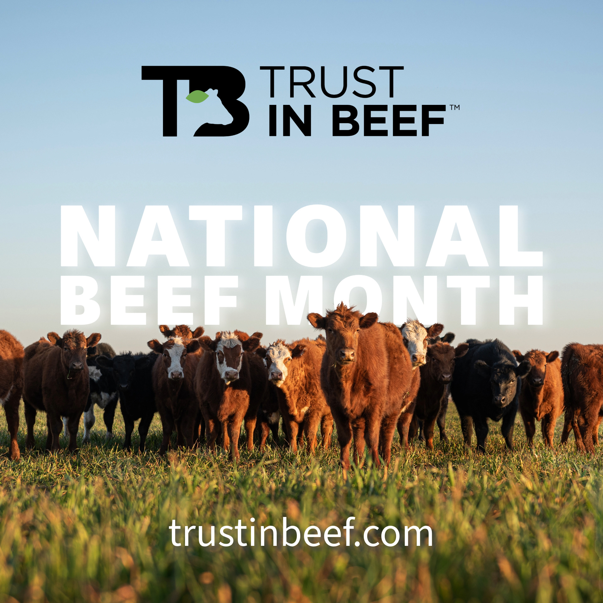 Trust In Beef
